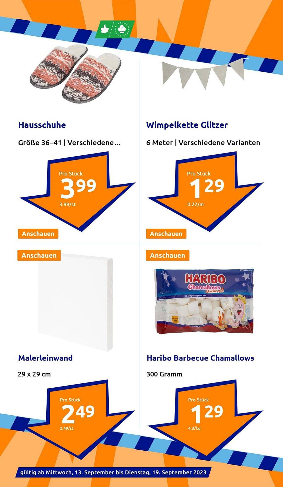 Action Prospekt 13 – 19 September 2023 Seite 22