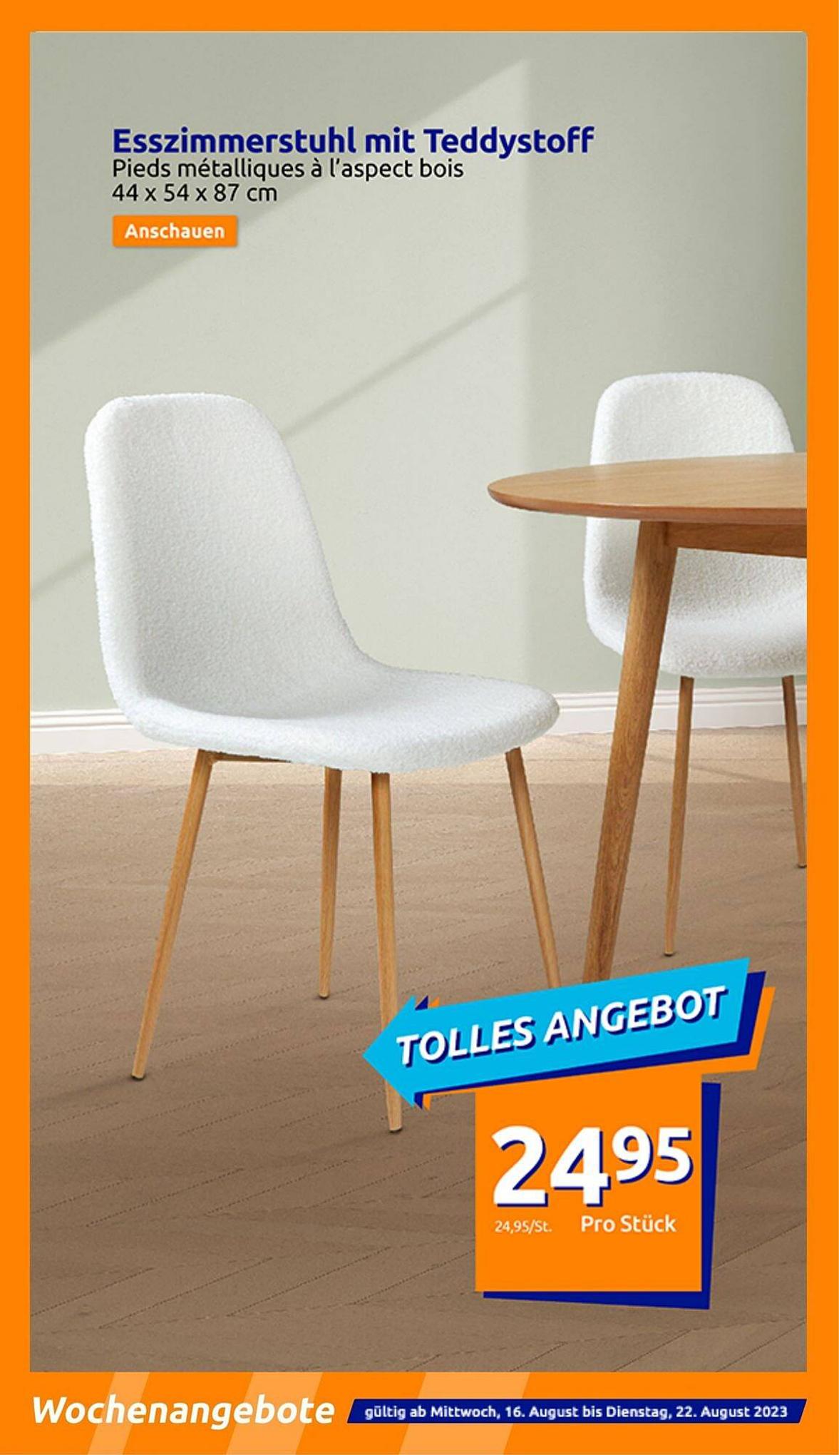 Action Prospekt 16 – 22 August 2023 Seite 10