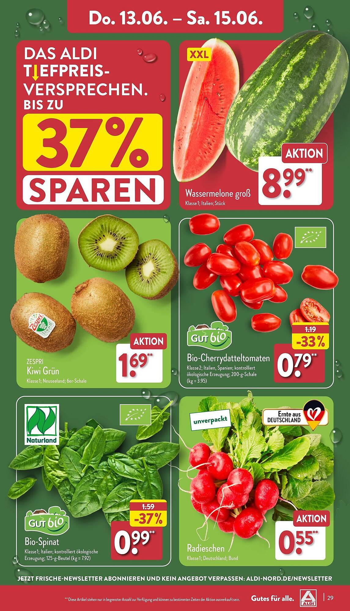 ALDI Nord Prospekt 10 – 15 Juni 2024 Seite 29
