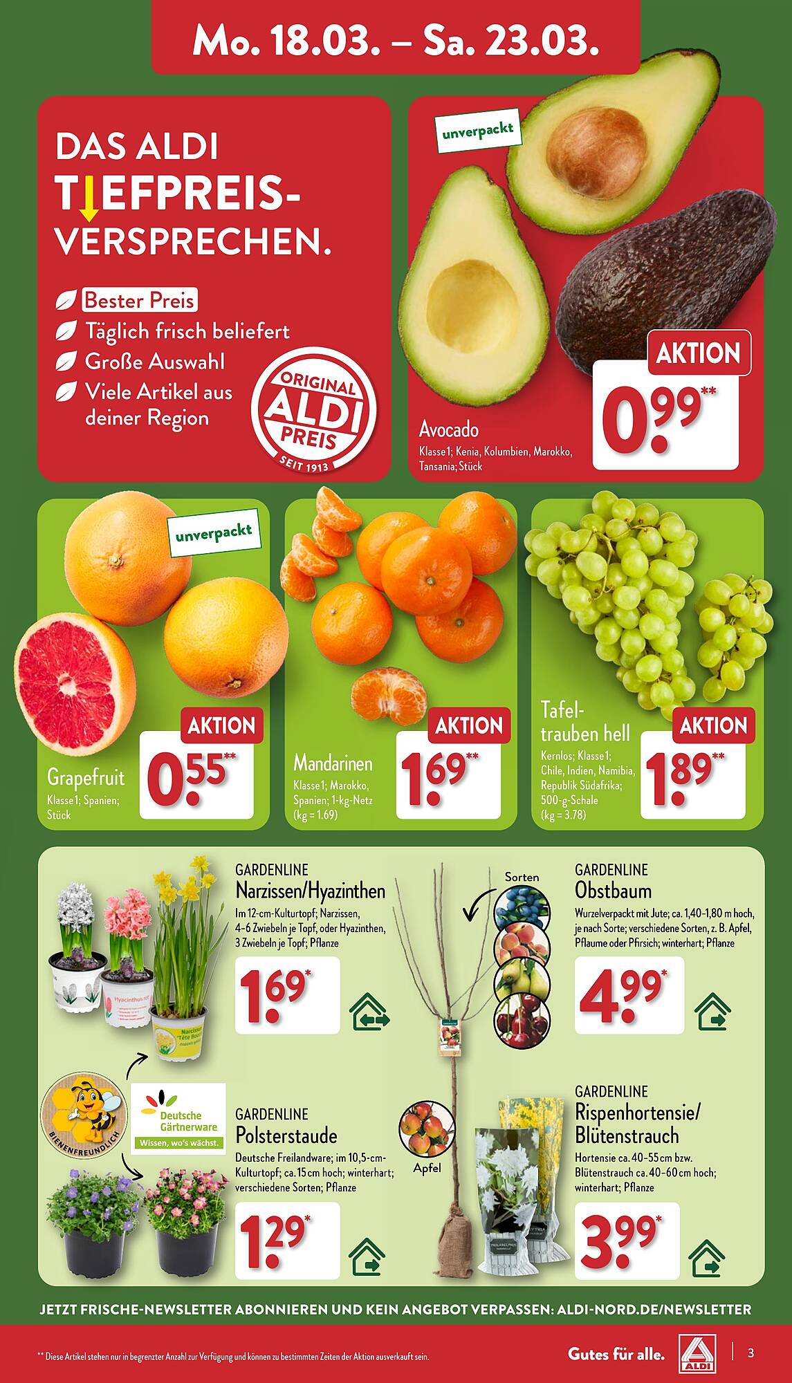 ALDI Nord Prospekt 18 – 23 Marsch 2024 Seite 3