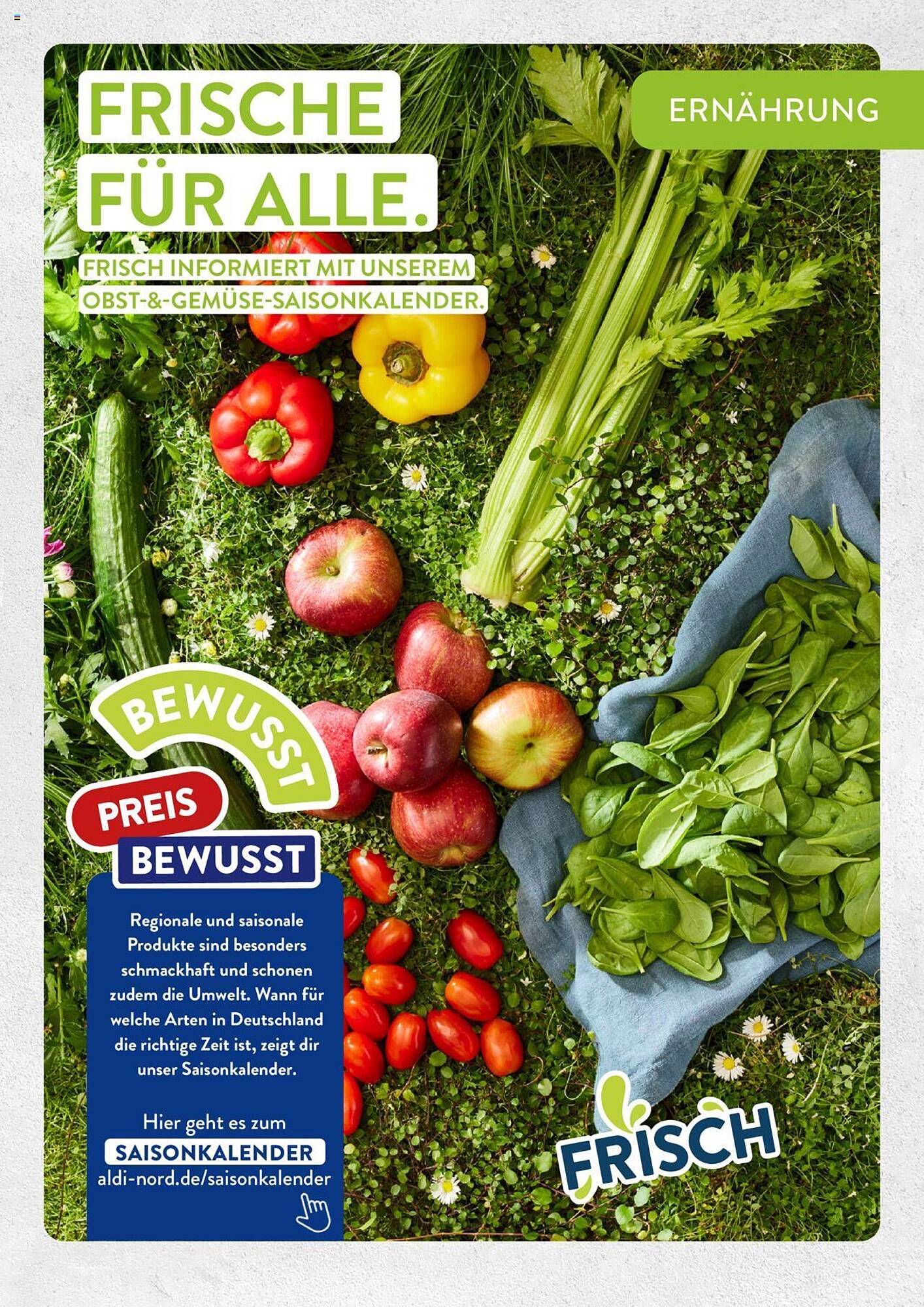 ALDI Nord Prospekt 2 – 20 Januar 2024 Seite 21