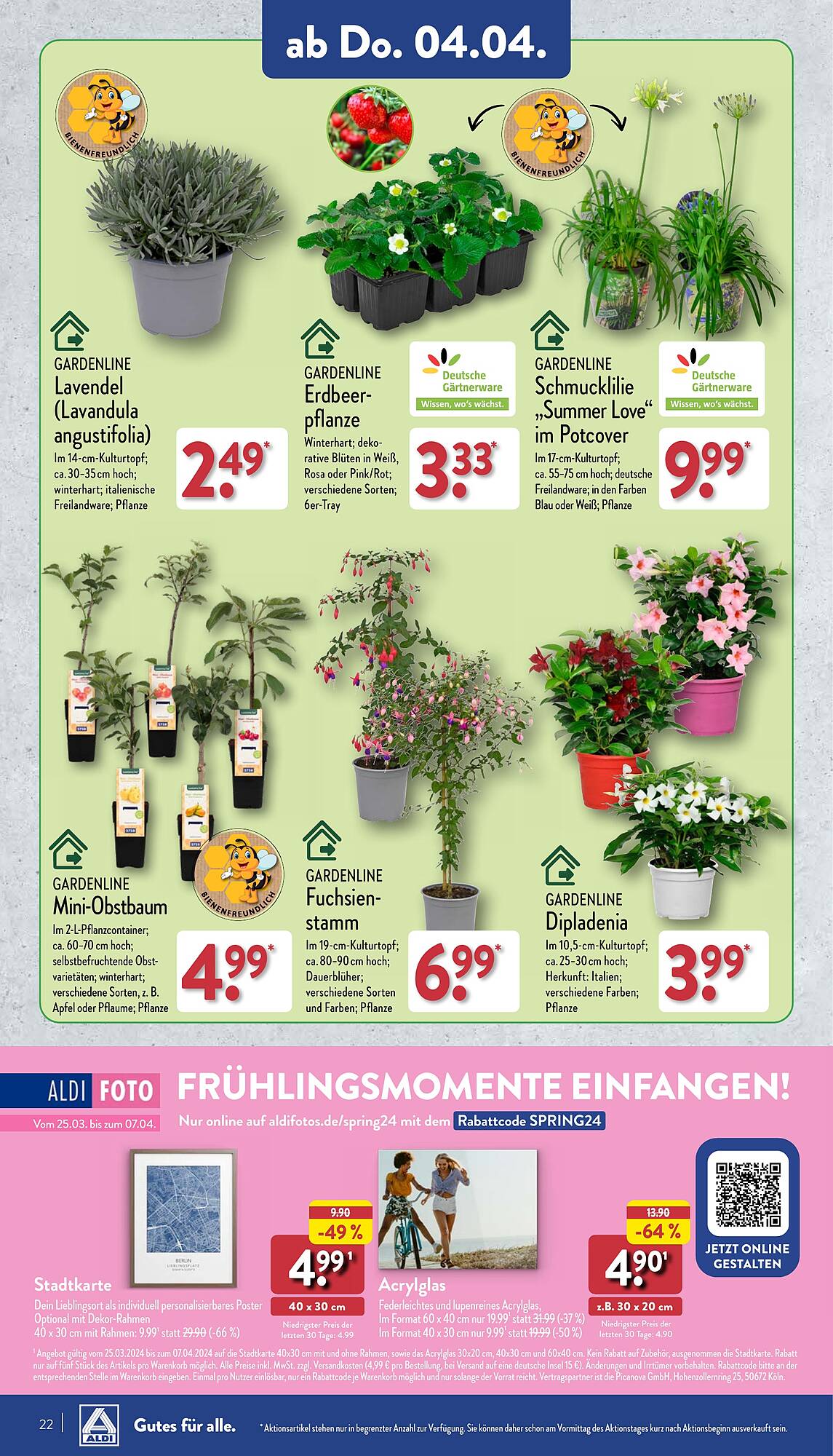 ALDI Nord Prospekt 2 – 6 April 2024 Seite 22