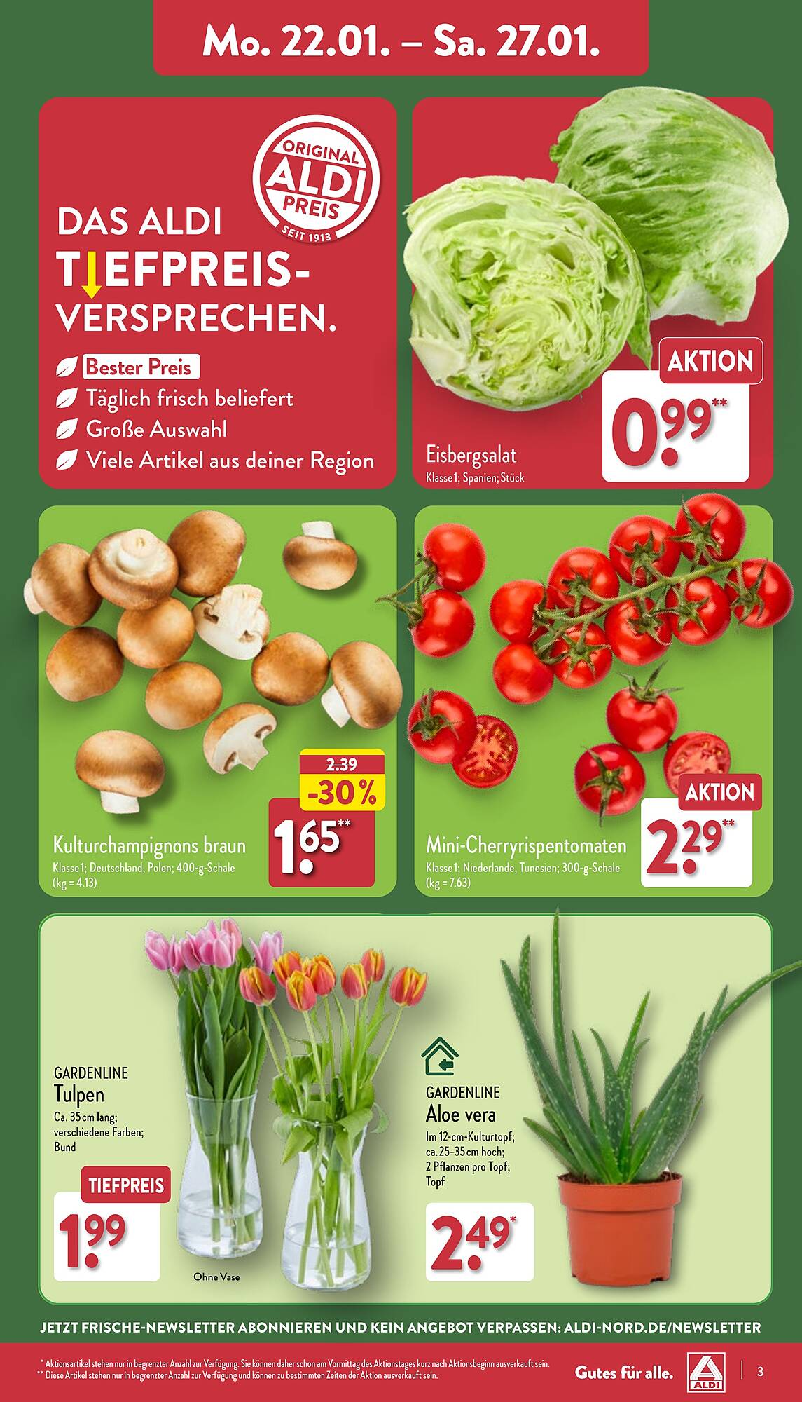 ALDI Nord Prospekt 22 – 27 Januar 2024 Seite 3