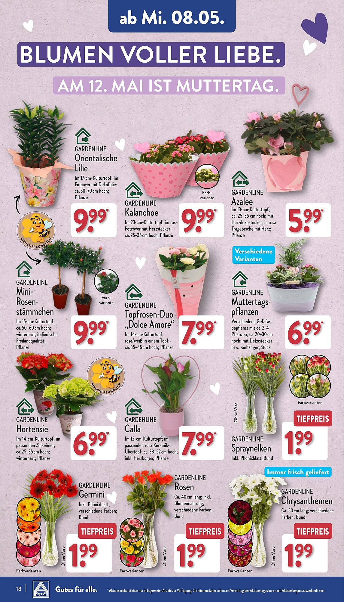 ALDI Nord Prospekt 6 – 11 Mai 2024 Seite 18