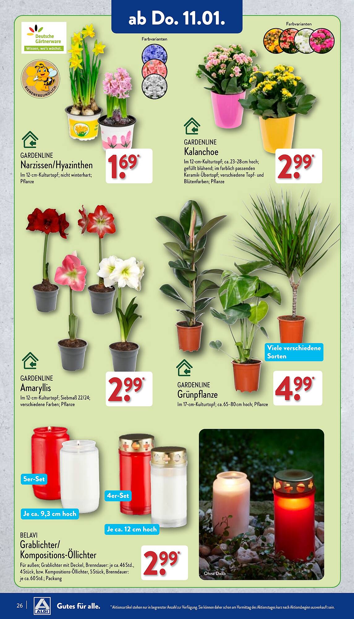 ALDI Nord Prospekt 8 – 13 Januar 2024 Seite 26