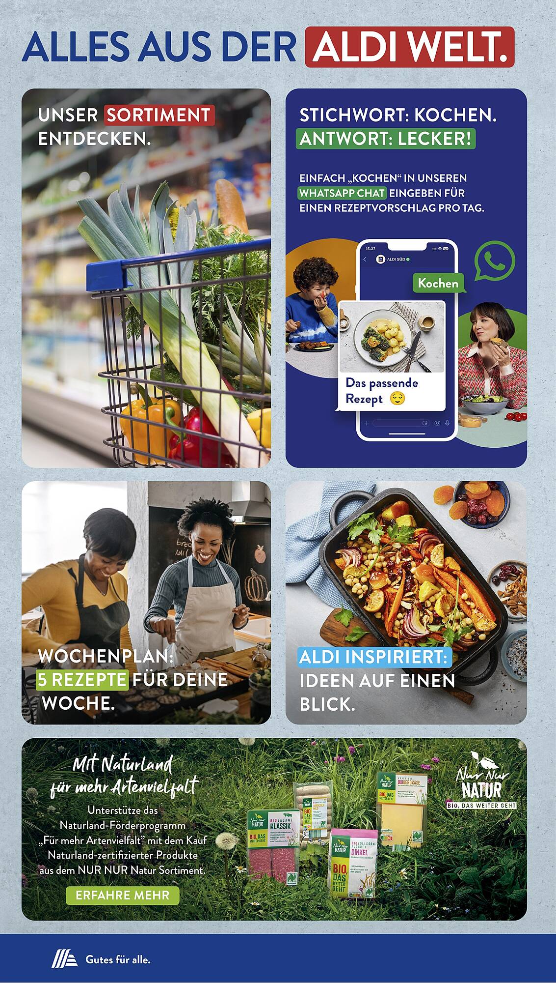 ALDI Süd Prospekt 1 – 6 Juli 2024 Seite 32