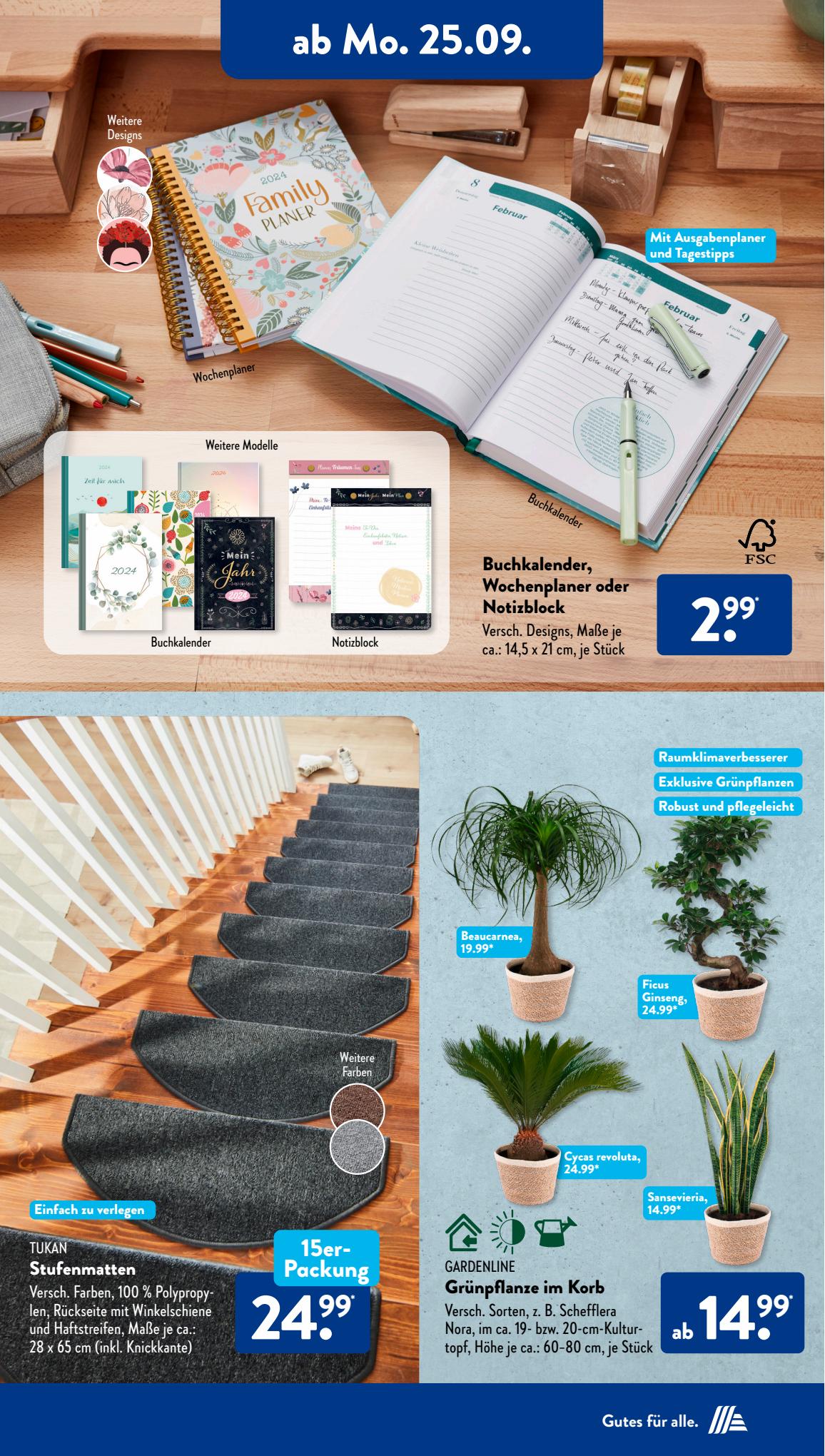 ALDI Süd Prospekt 10 – 13 September 2023 Seite 8