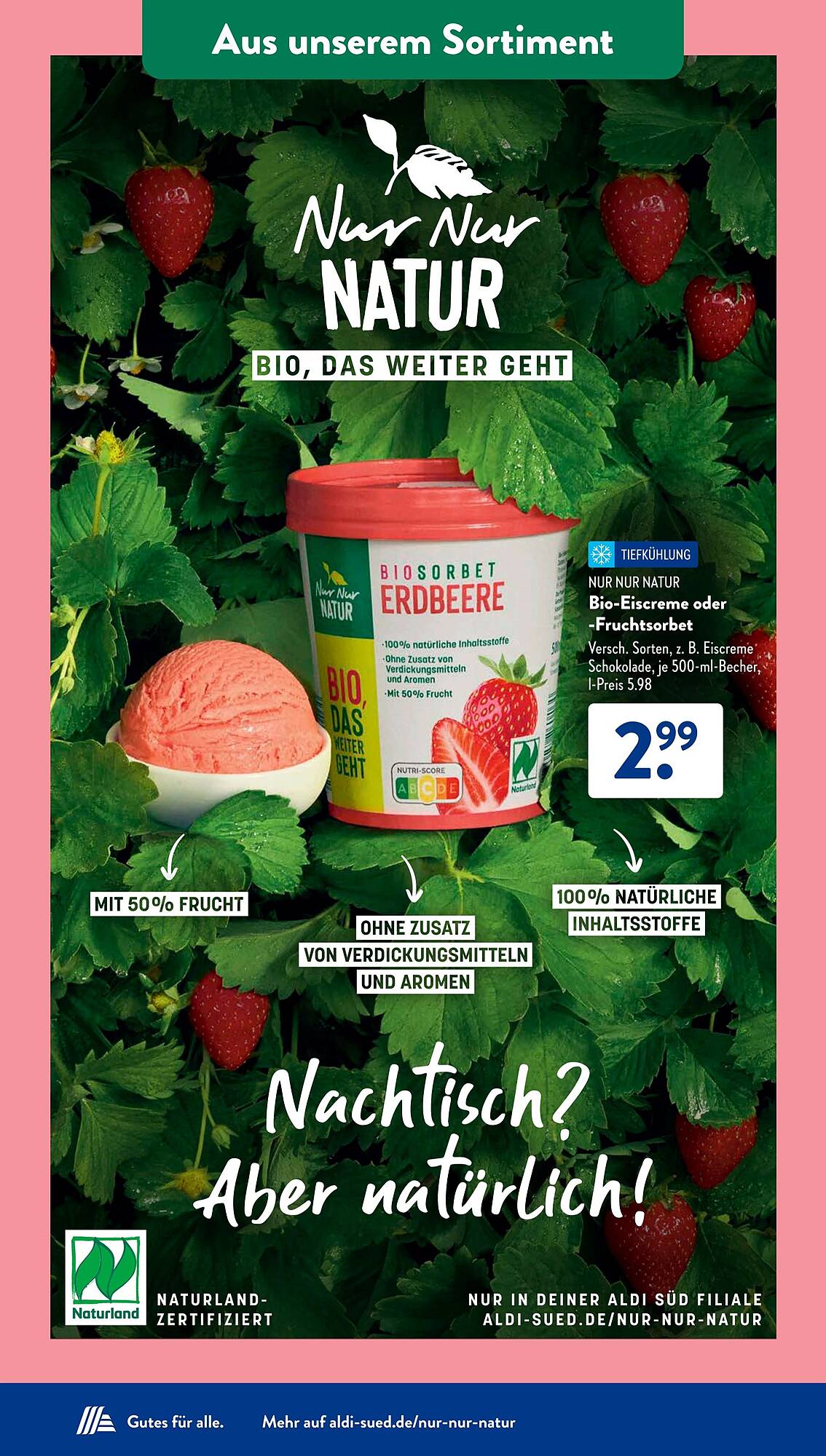 ALDI Süd Prospekt 10 – 15 Juni 2024 Seite 25