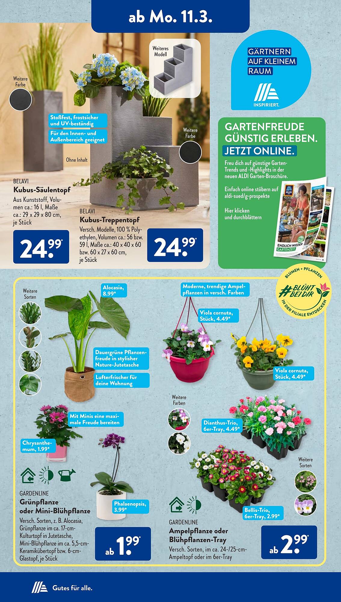 ALDI Süd Prospekt 11 – 16 Marsch 2024 Seite 4