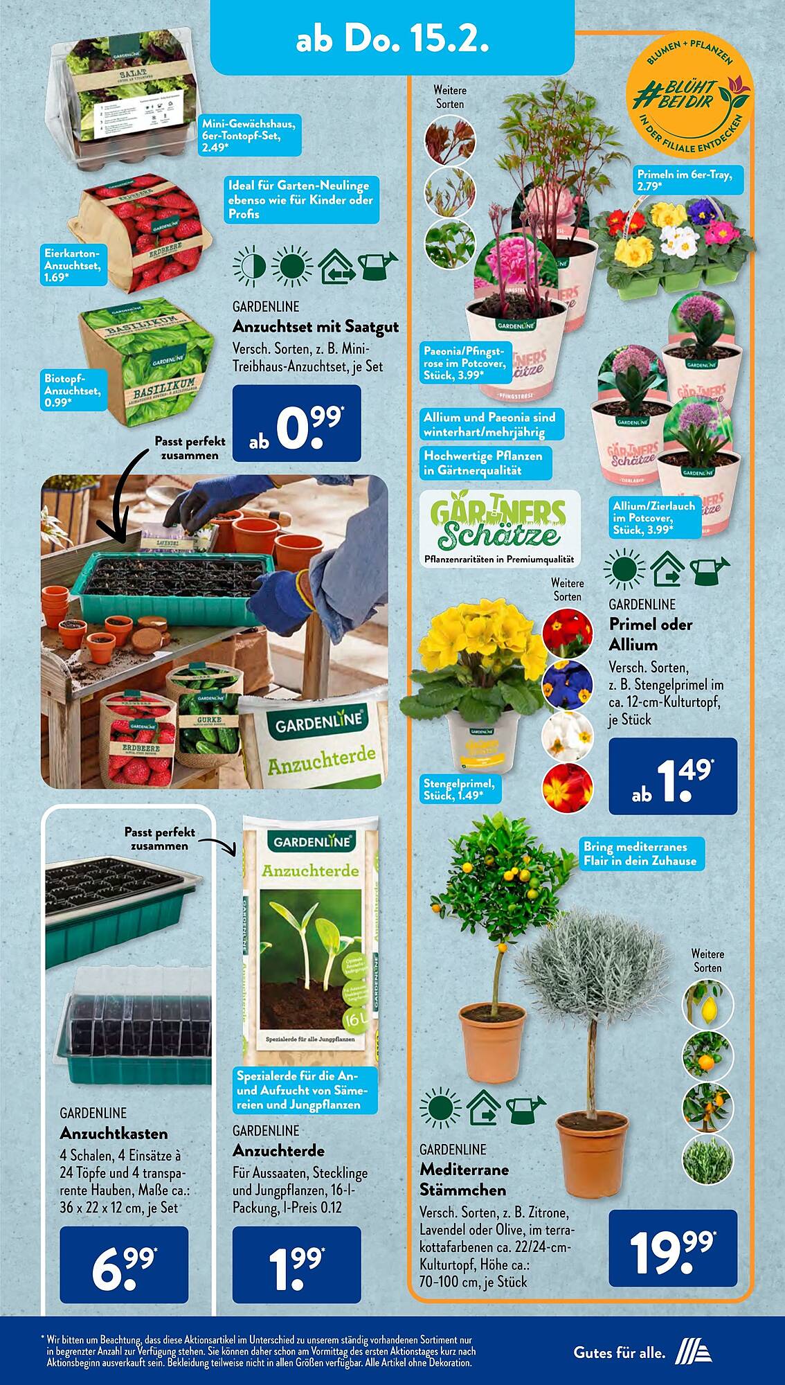 ALDI Süd Prospekt 12 – 17 Februar 2024 Seite 15