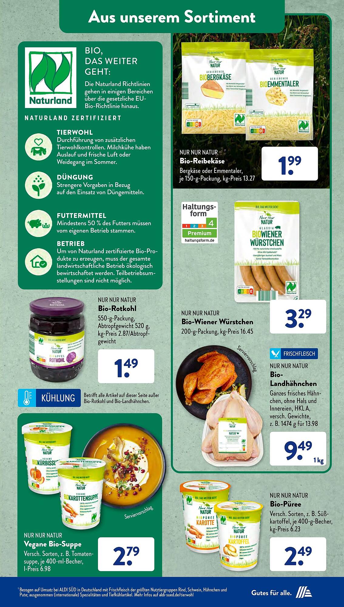 ALDI Süd Prospekt 12 – 17 Februar 2024 Seite 31