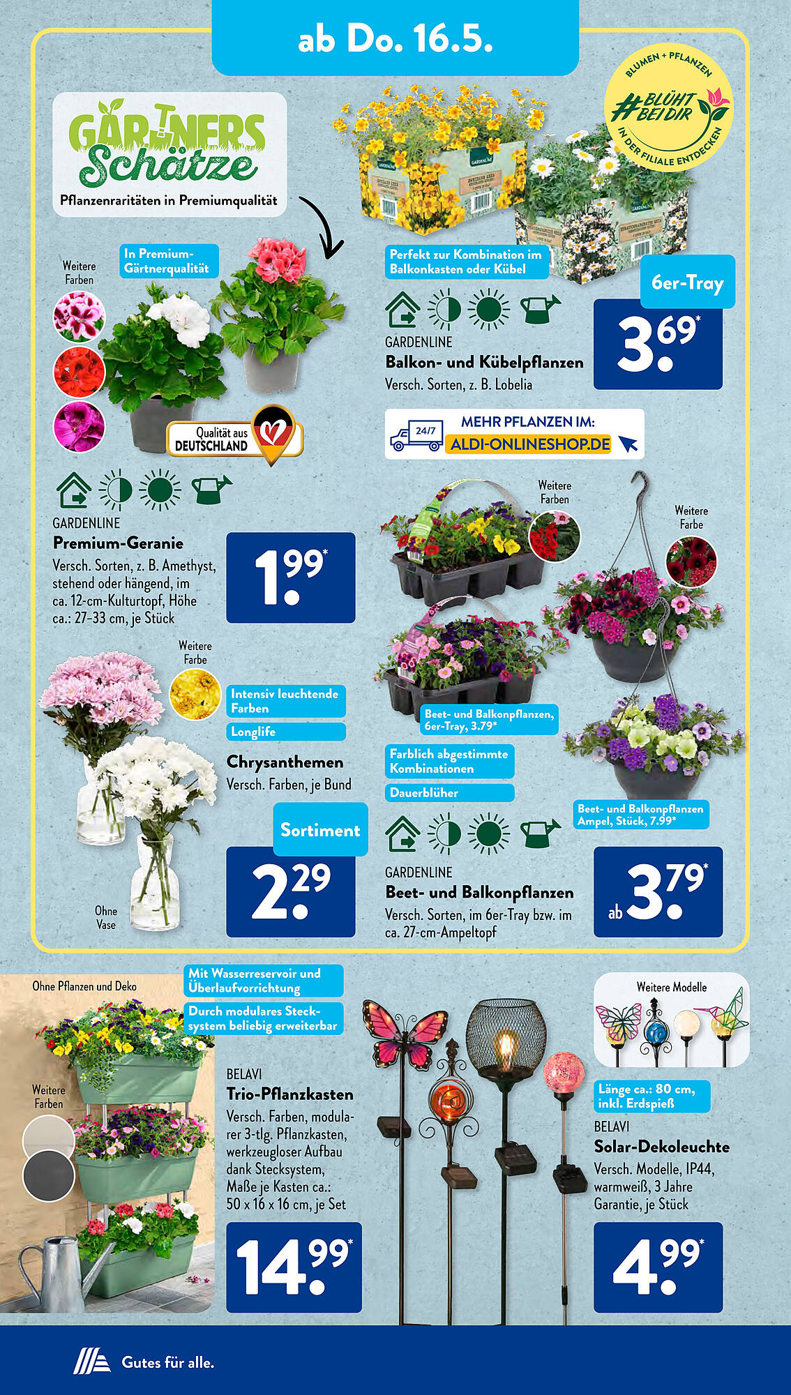 ALDI Süd Prospekt 13 – 18 Mai 2024 Seite 13