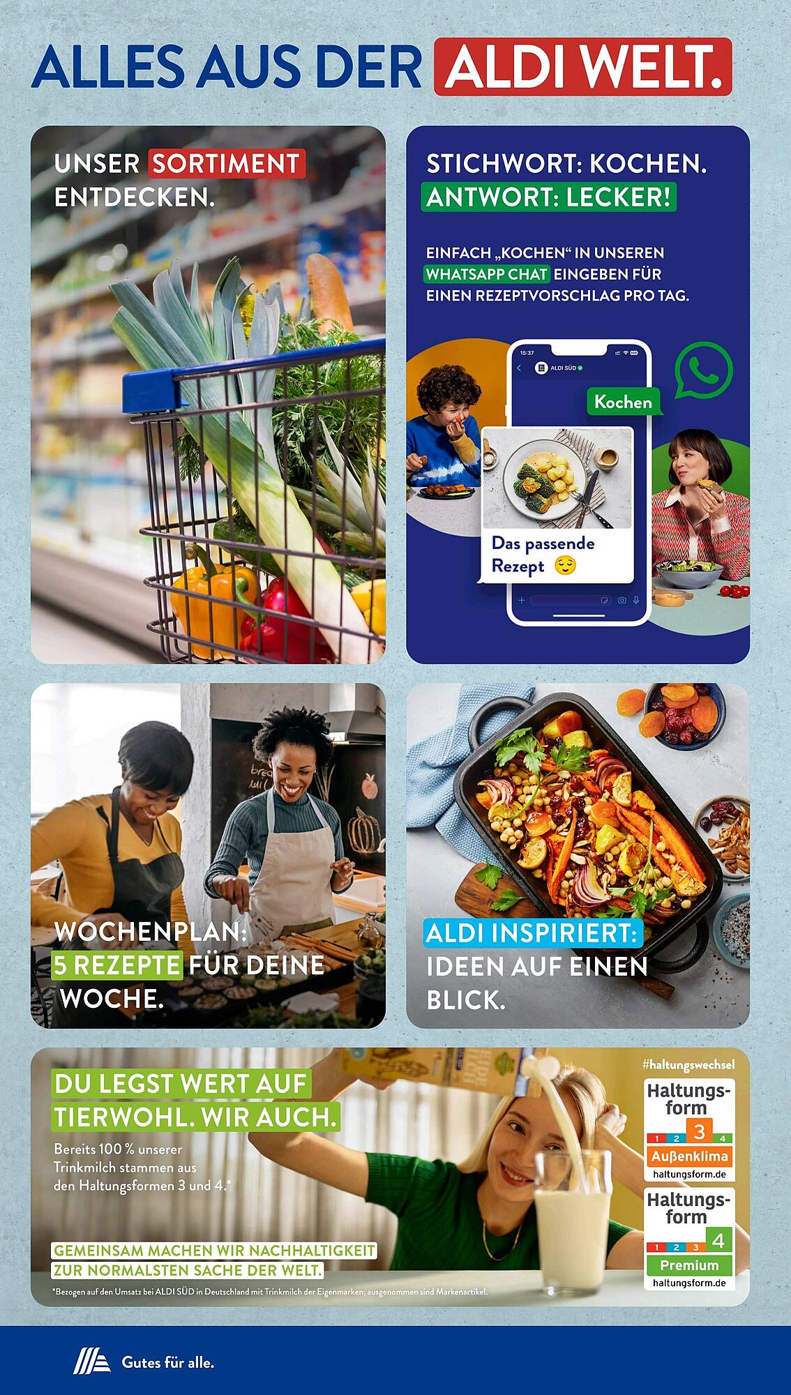 ALDI Süd Prospekt 17 – 22 Juni 2024 Seite 36