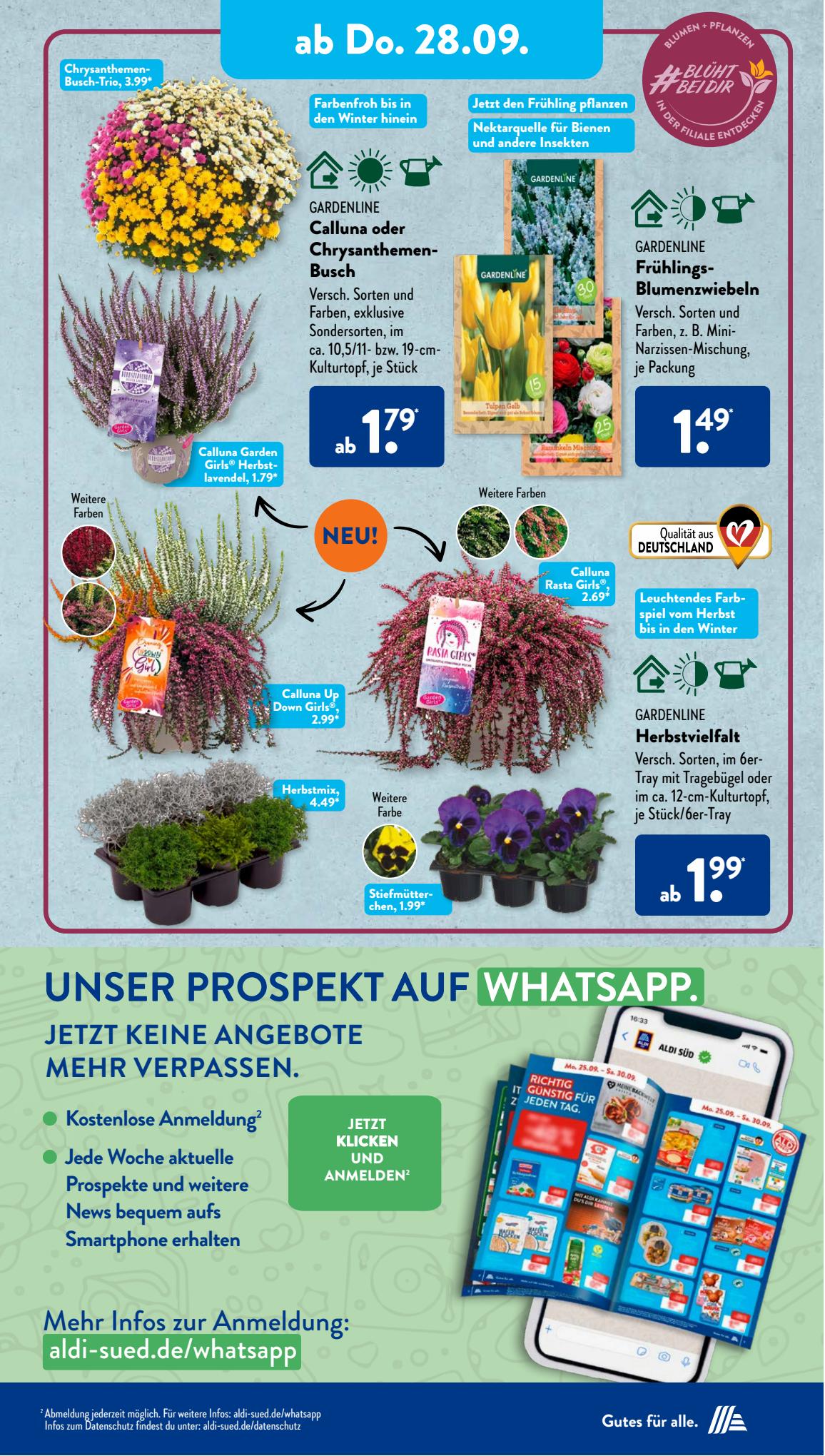ALDI Süd Prospekt 17 – 30 September 2023 Seite 26