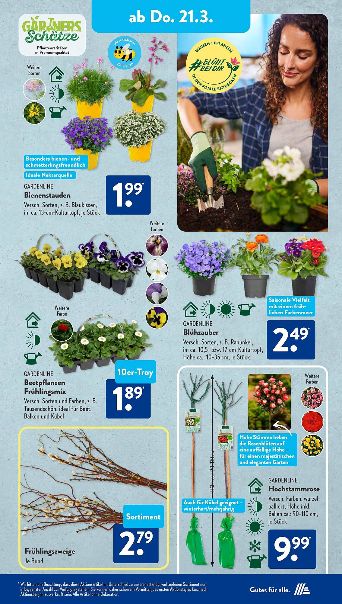 ALDI Süd Prospekt 18 – 23 Marsch 2024 Seite 10