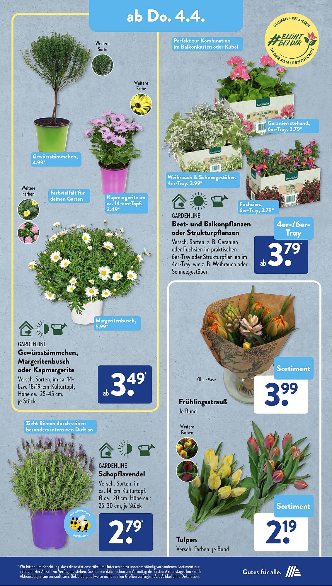 ALDI Süd Prospekt 2 – 6 April 2024 Seite 9