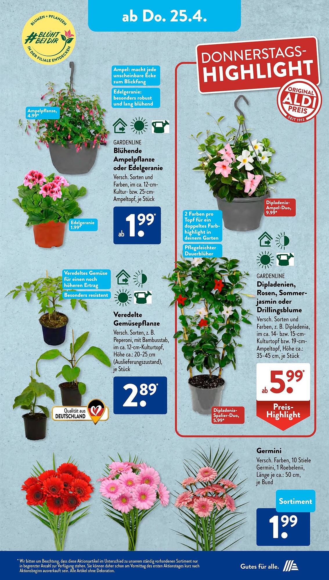 ALDI Süd Prospekt 22 – 27 April 2024 Seite 11