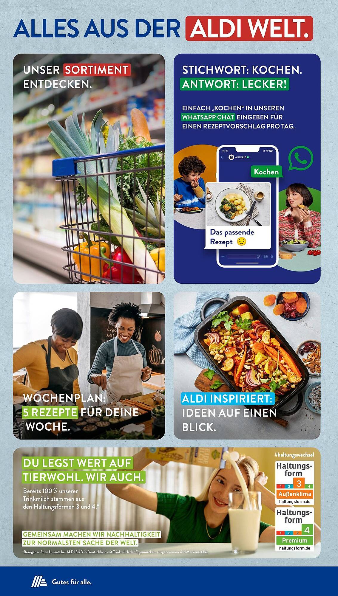 ALDI Süd Prospekt 24 – 29 Juni 2024 Seite 36