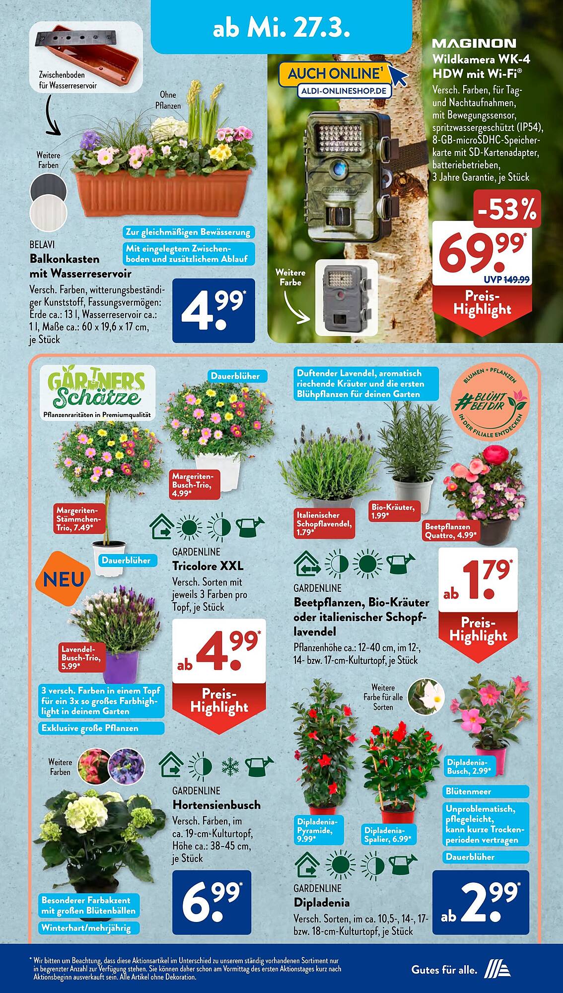 ALDI Süd Prospekt 25 – 30 Marsch 2024 Seite 11