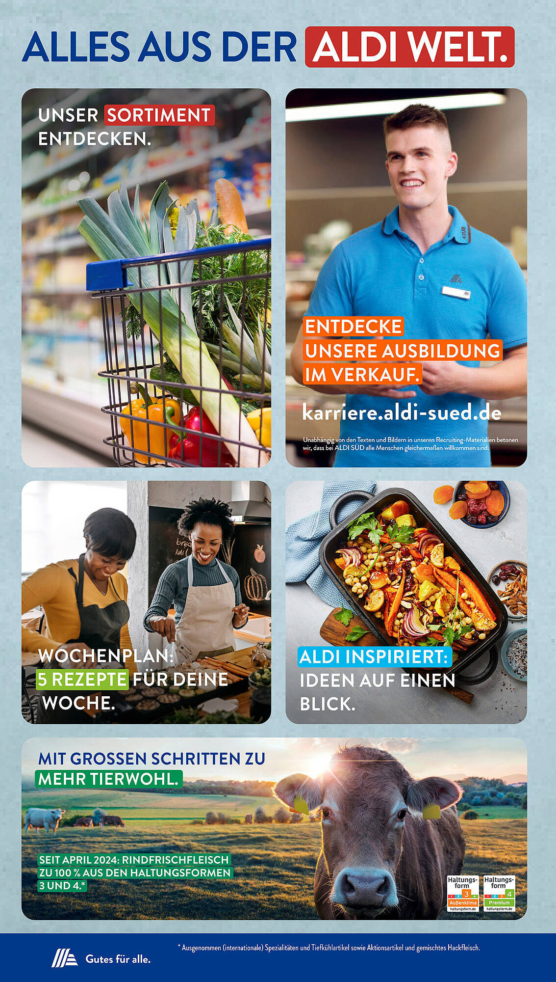 ALDI Süd Prospekt 29 Apr – 4 Mai 2024 Seite 37