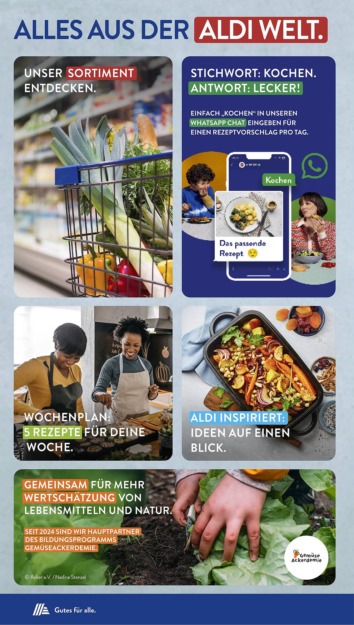 ALDI Süd Prospekt 3 – 8 Juni 2024 Seite 33