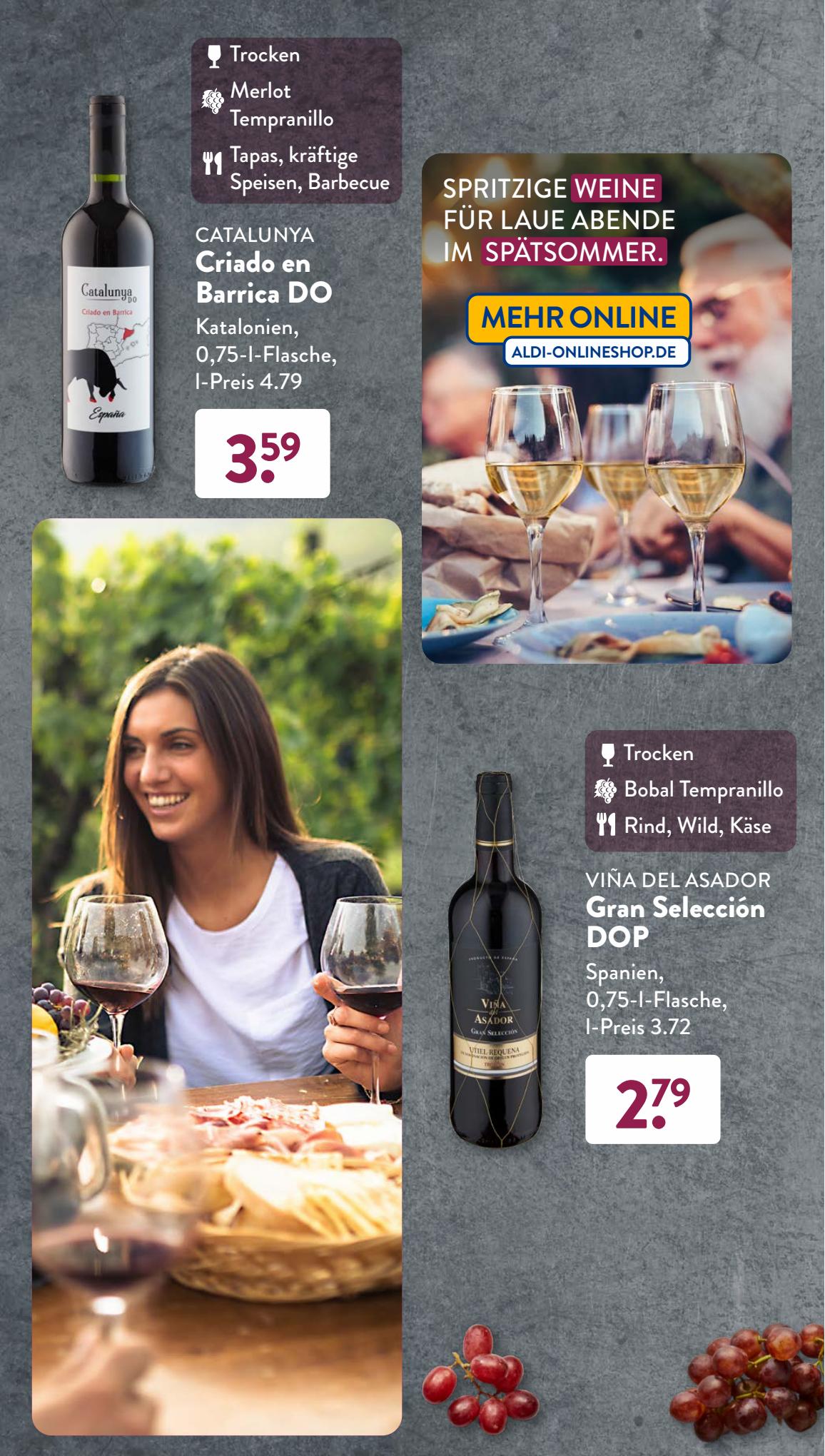 ALDI Süd Prospekt 4 – 7 September 2023 Seite 17