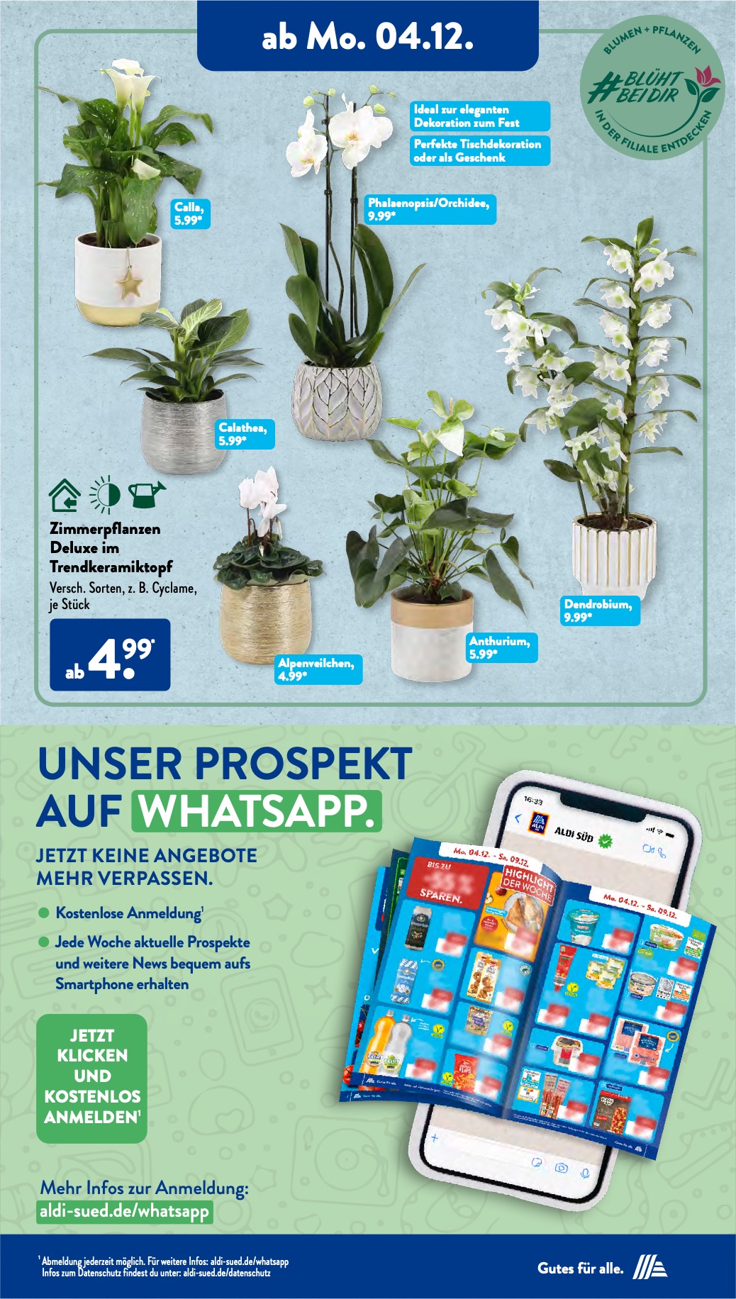 ALDI Süd Prospekt 4 – 9 Dezember 2023 Seite 9