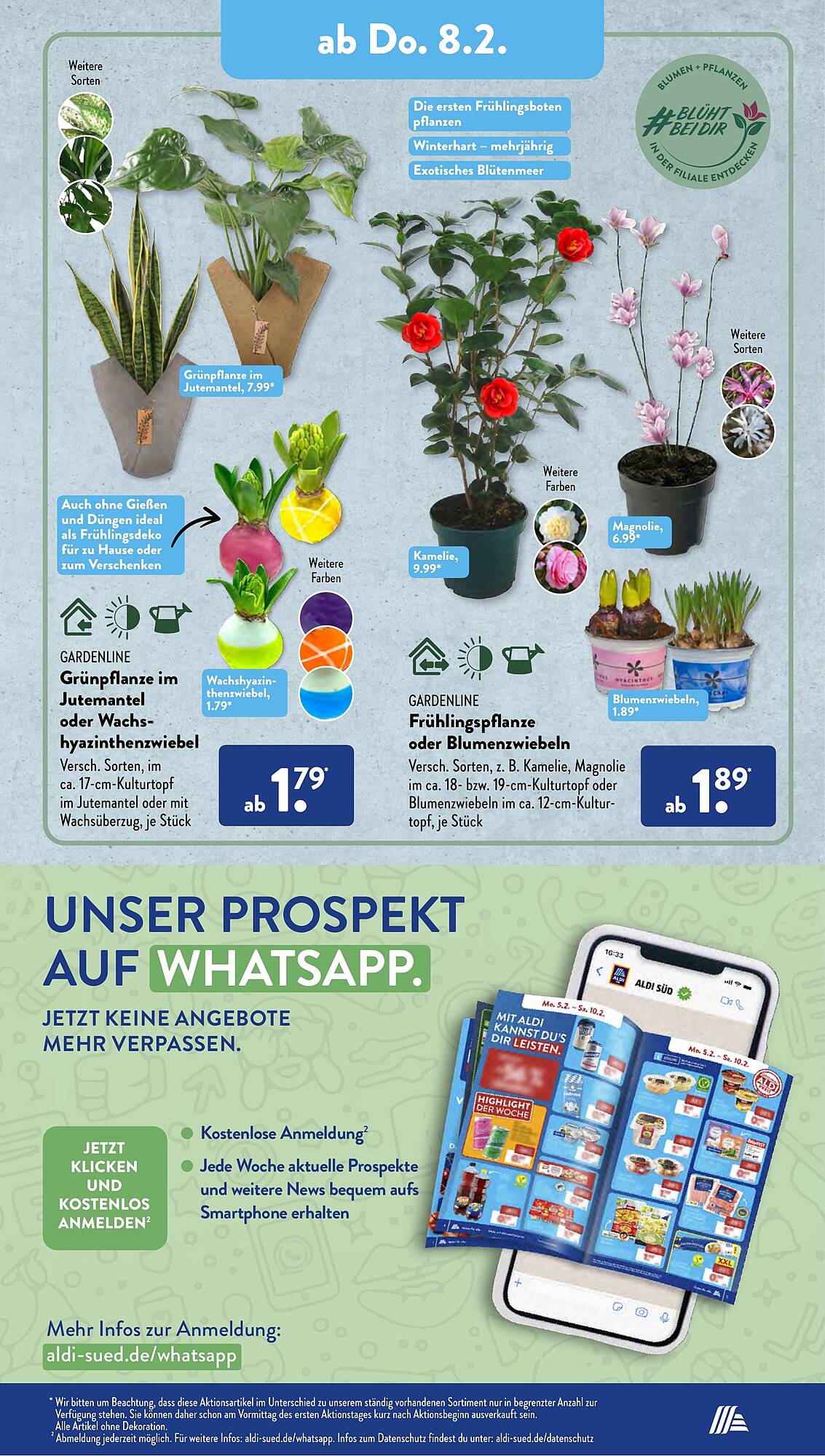 ALDI Süd Prospekt 5 – 10 Februar 2024 Seite 12