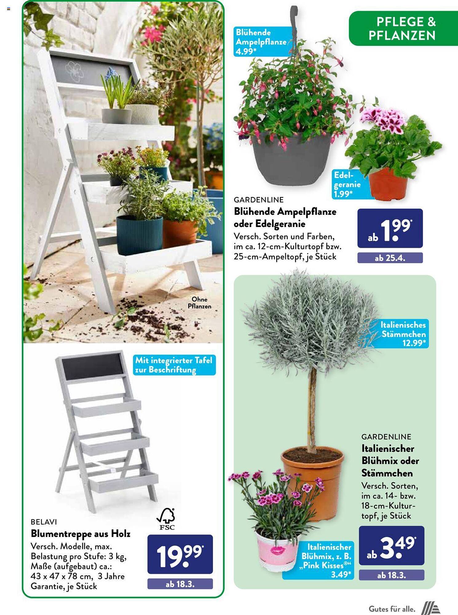 ALDI Süd Prospekt 7 – 30 Marsch 2024 Seite 37