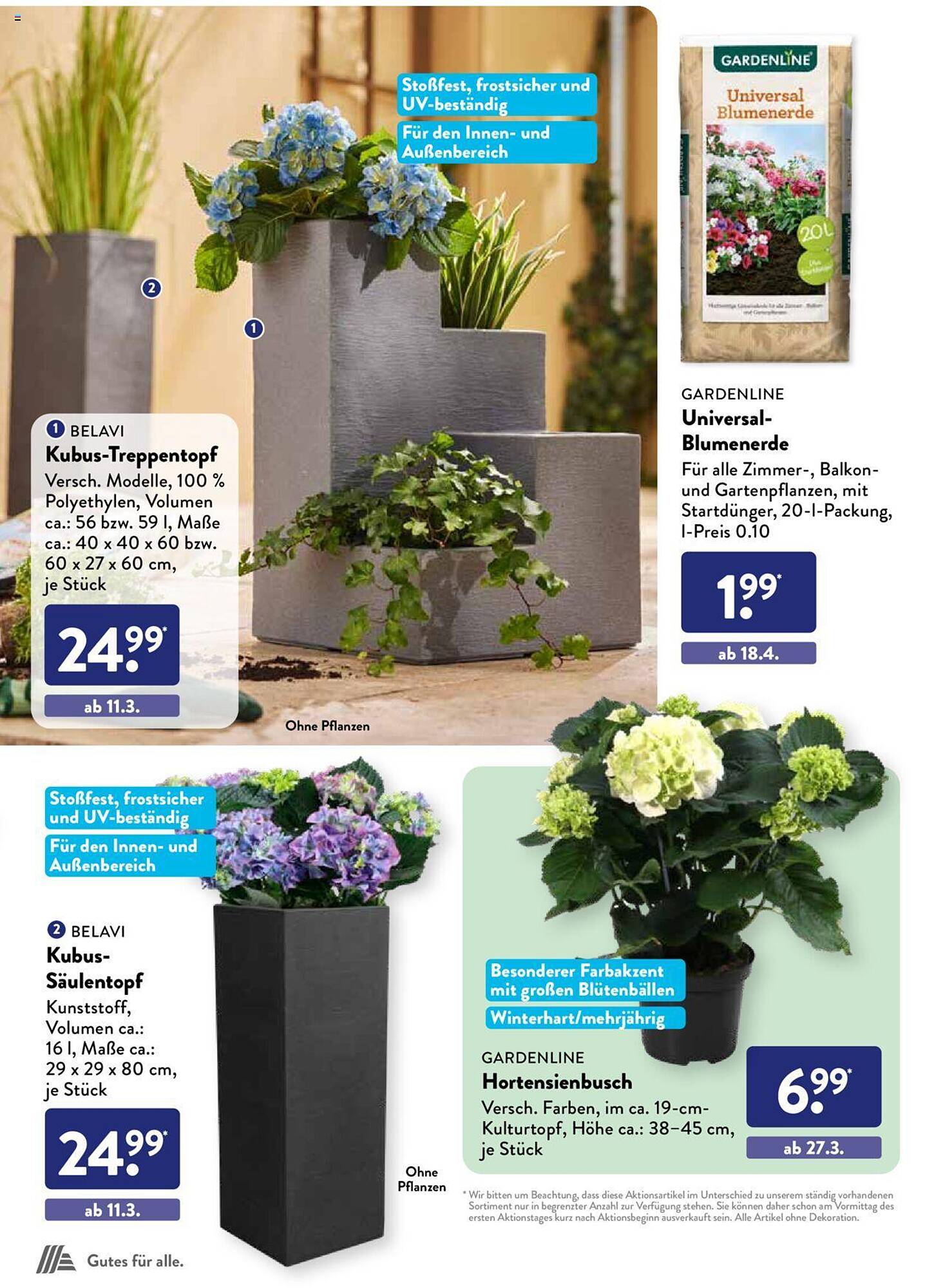 ALDI Süd Prospekt 7 – 30 Marsch 2024 Seite 38