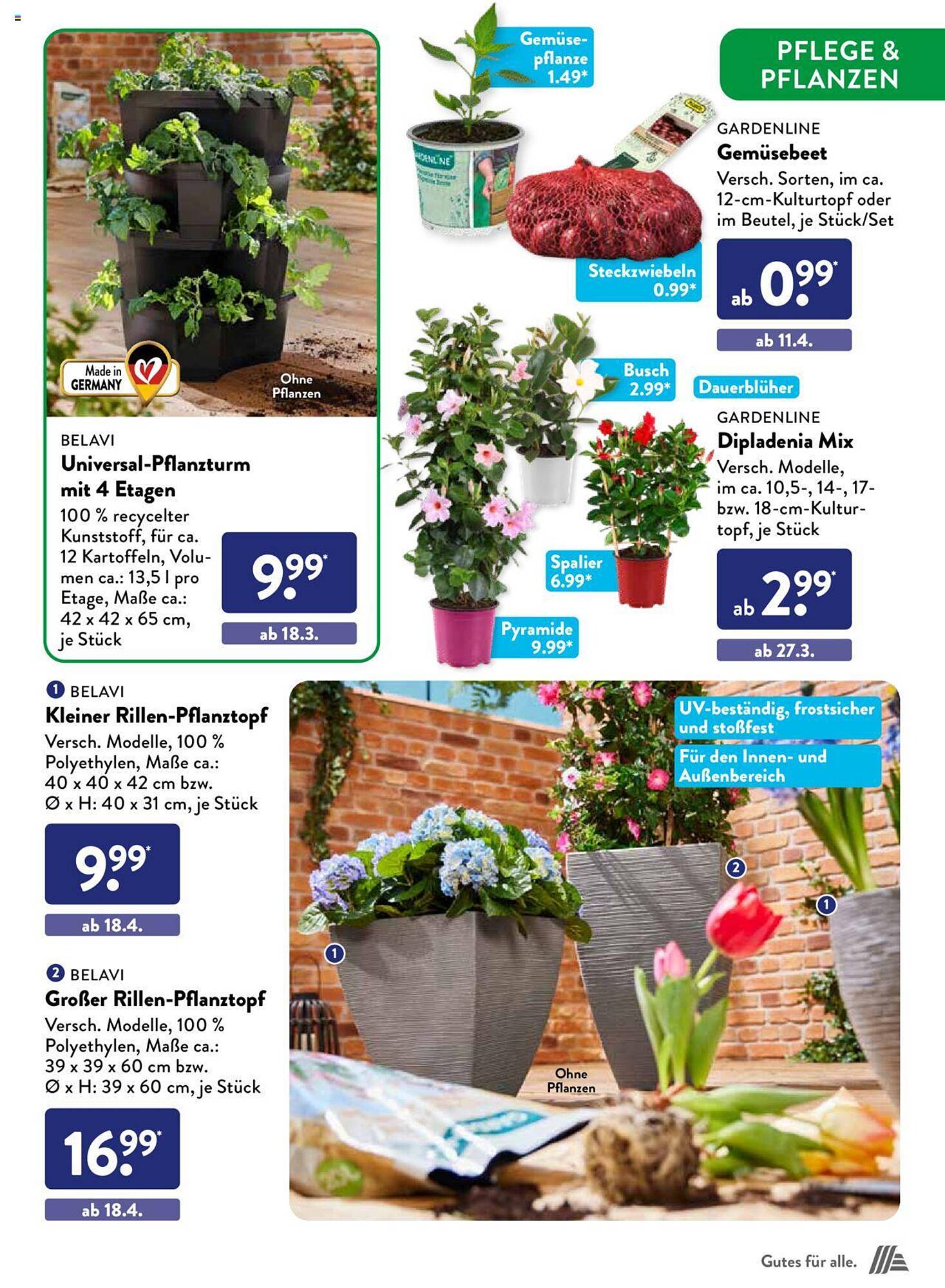 ALDI Süd Prospekt 7 – 30 Marsch 2024 Seite 39