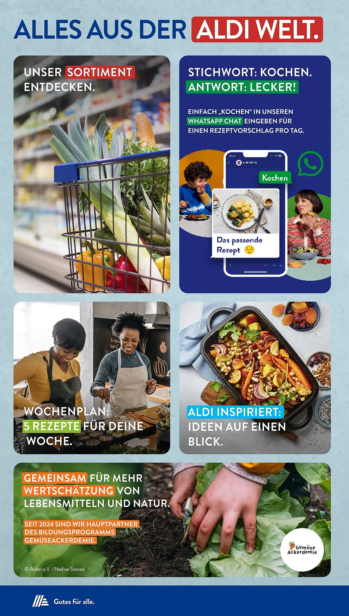 ALDI Süd Prospekt 8 – 13 April 2024 Seite 33