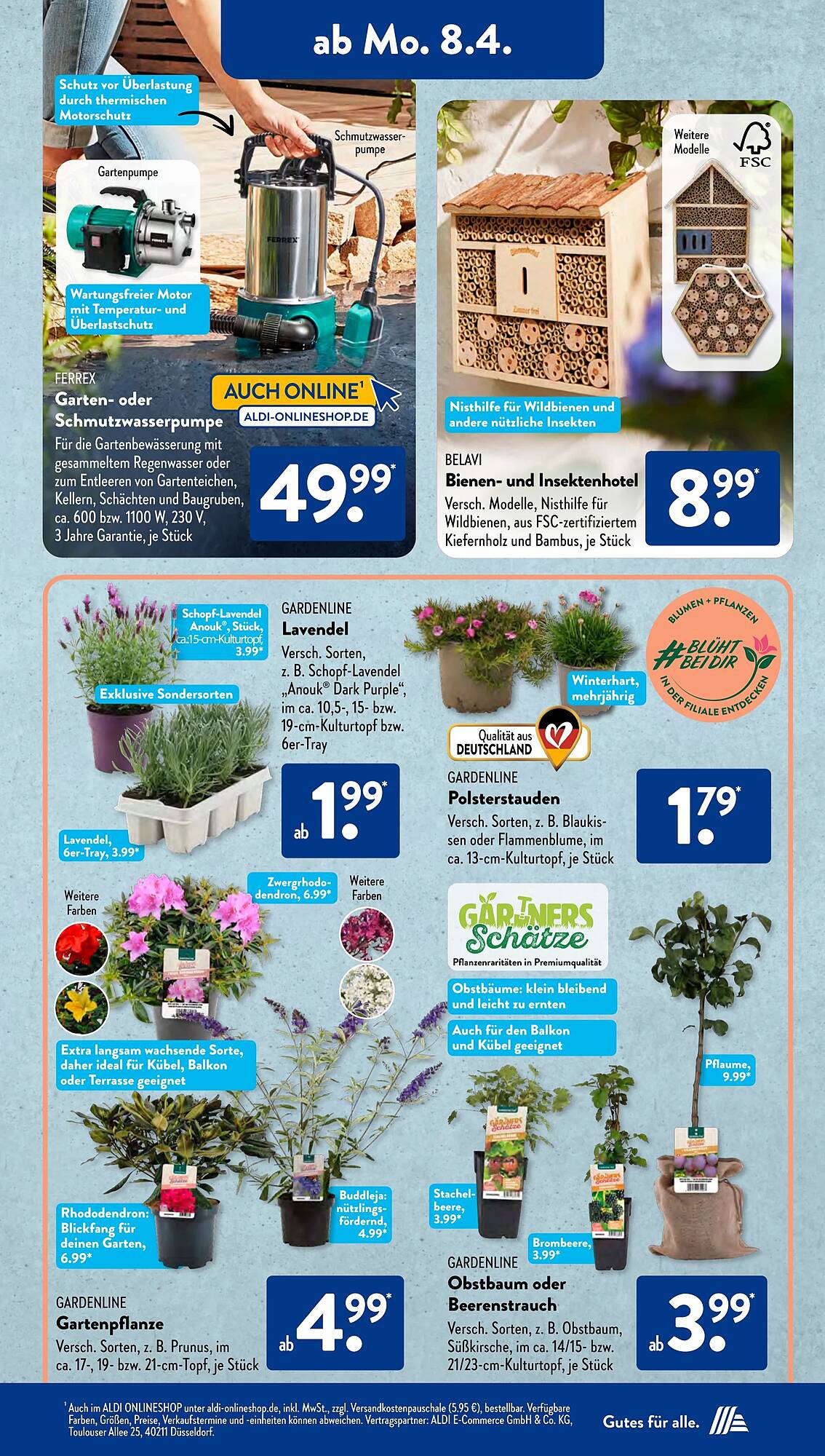 ALDI Süd Prospekt 8 – 13 April 2024 Seite 5