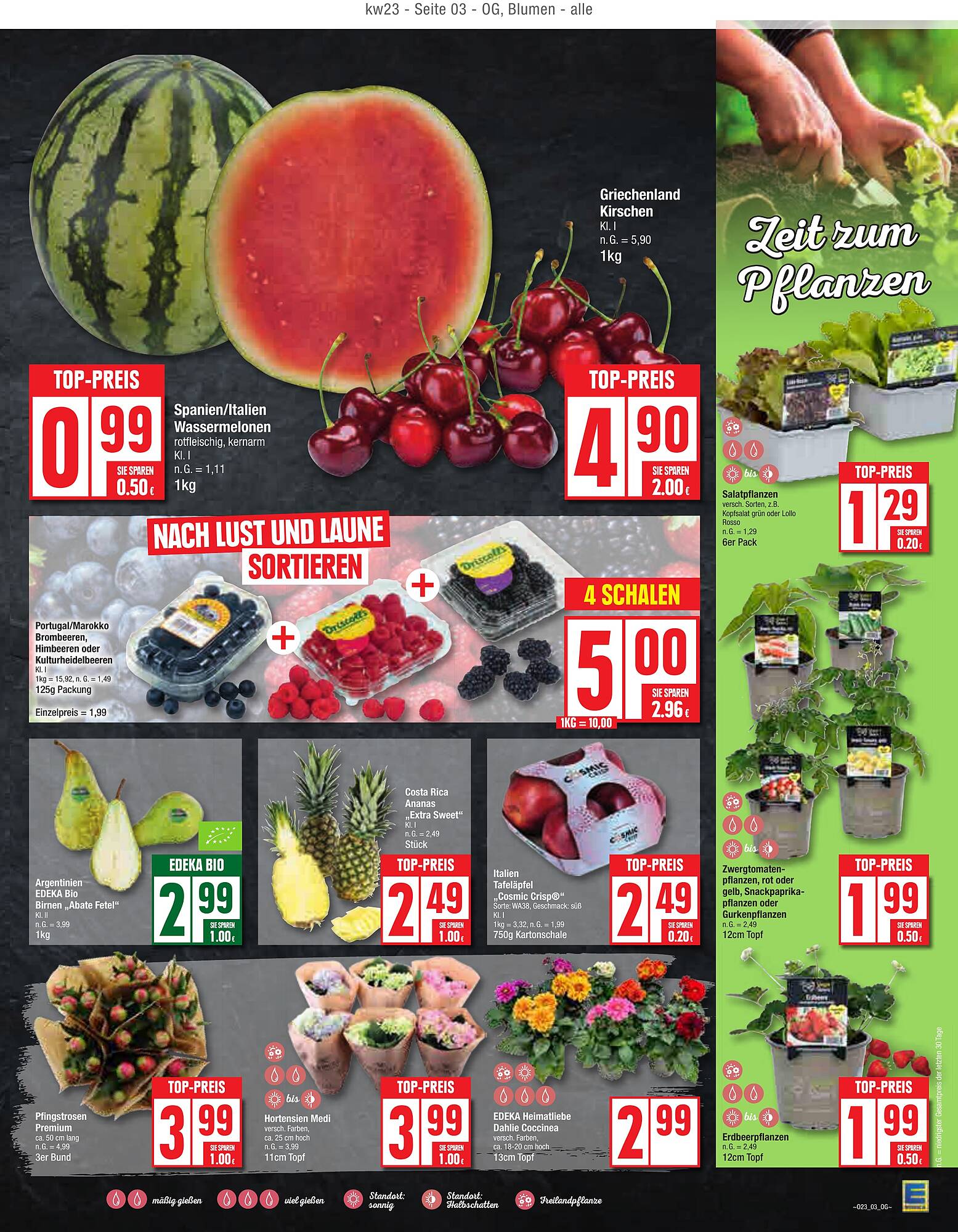 EDEKA Prospekt 3 – 8 Juni 2024 Seite 3