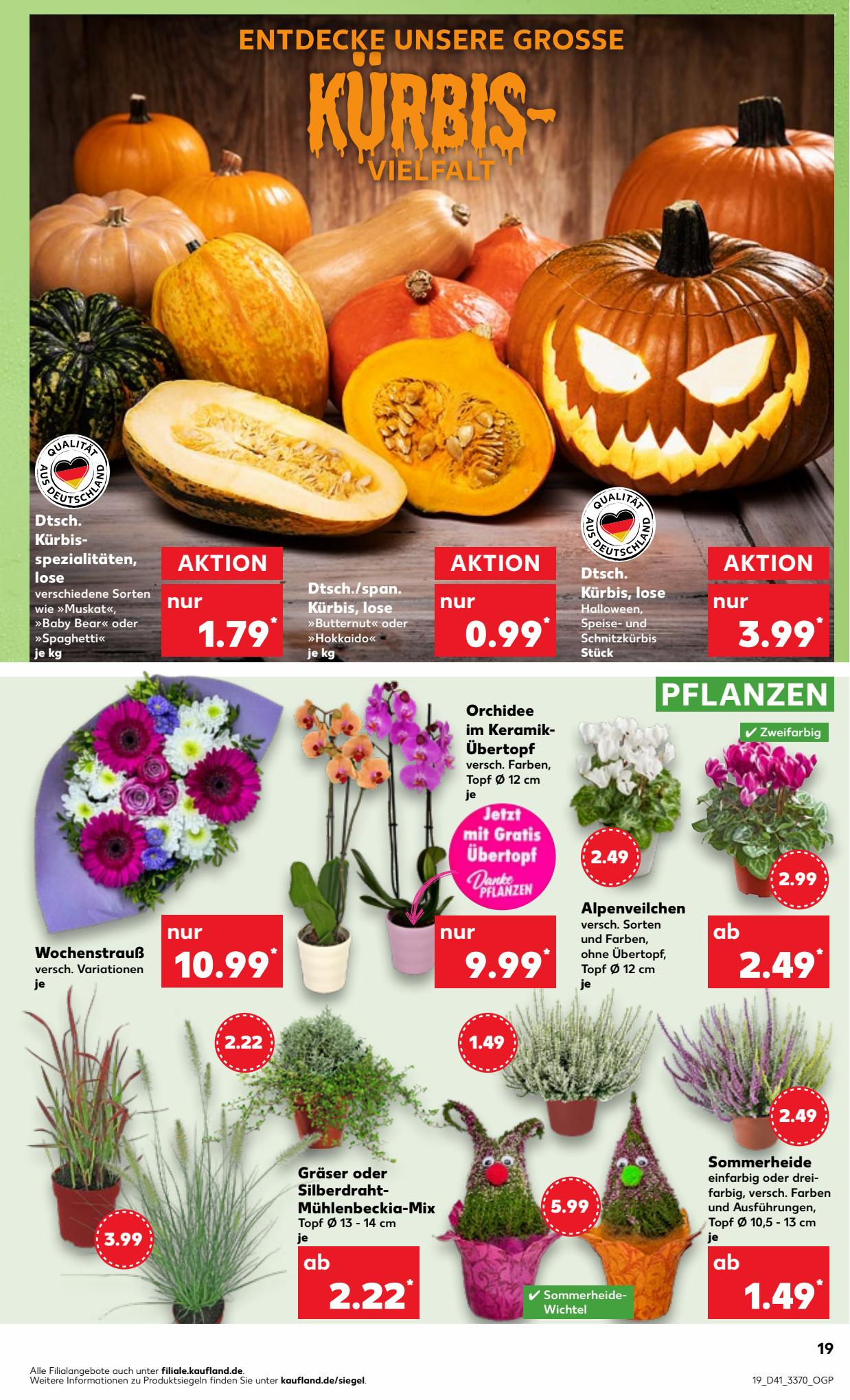 Kaufland Prospekt 12 – 18 October 2023 Seite 19
