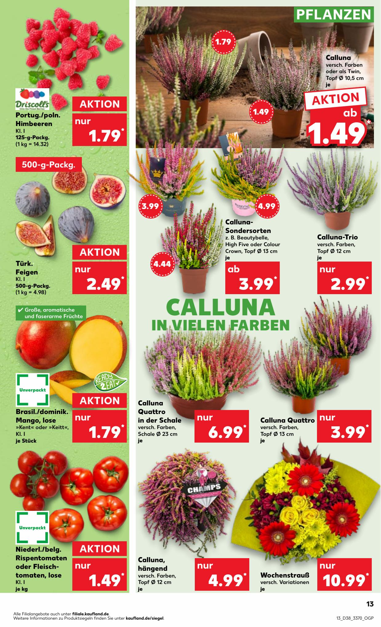 Kaufland Prospekt 17 – 27 September 2023 Seite 13