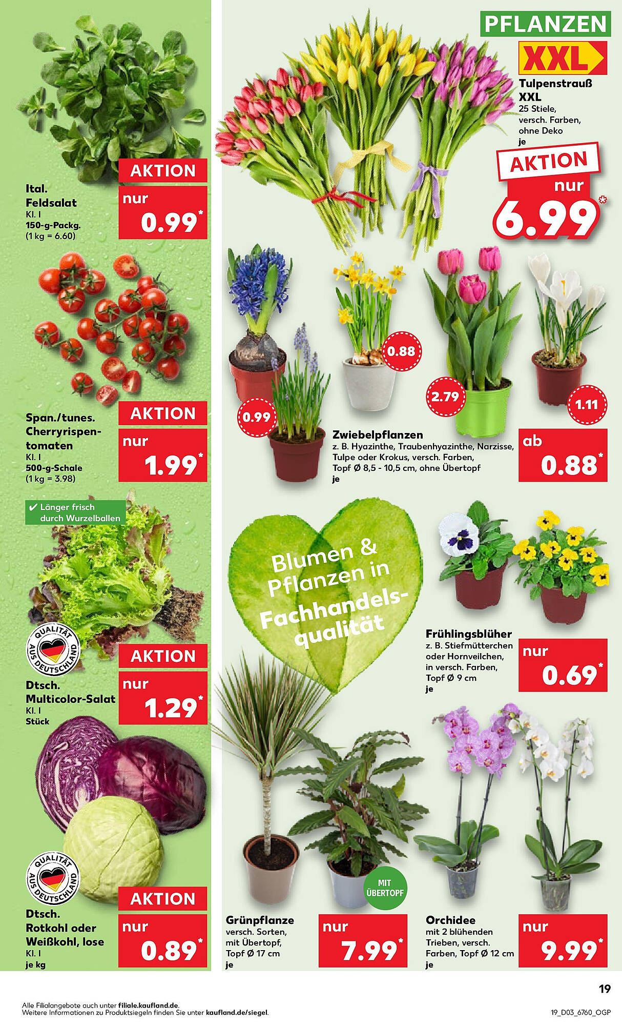 Kaufland Prospekt 22 – 24 Januar 2024 Seite 29