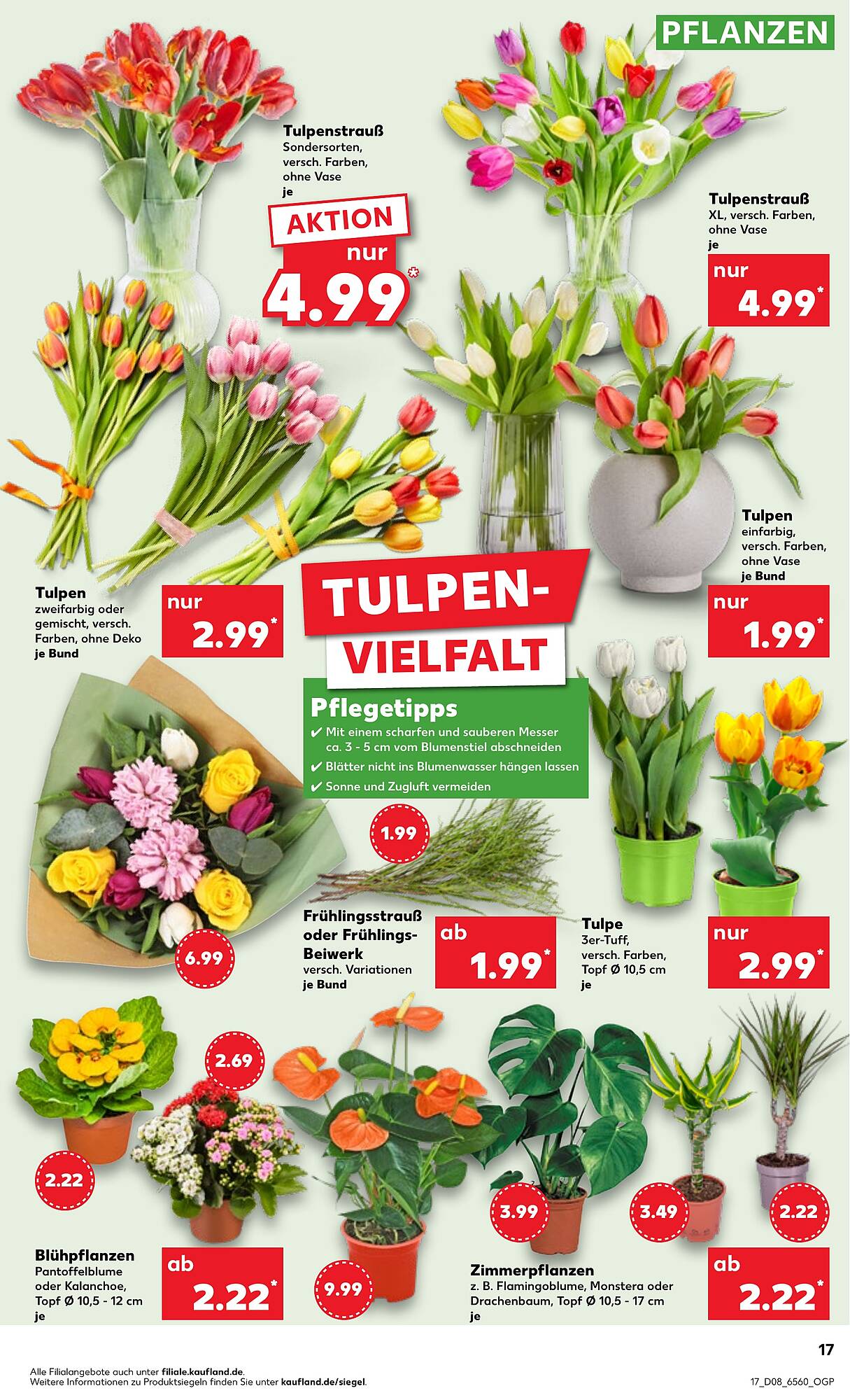 Kaufland Prospekt 22 – 28 Februar 2024 Seite 17