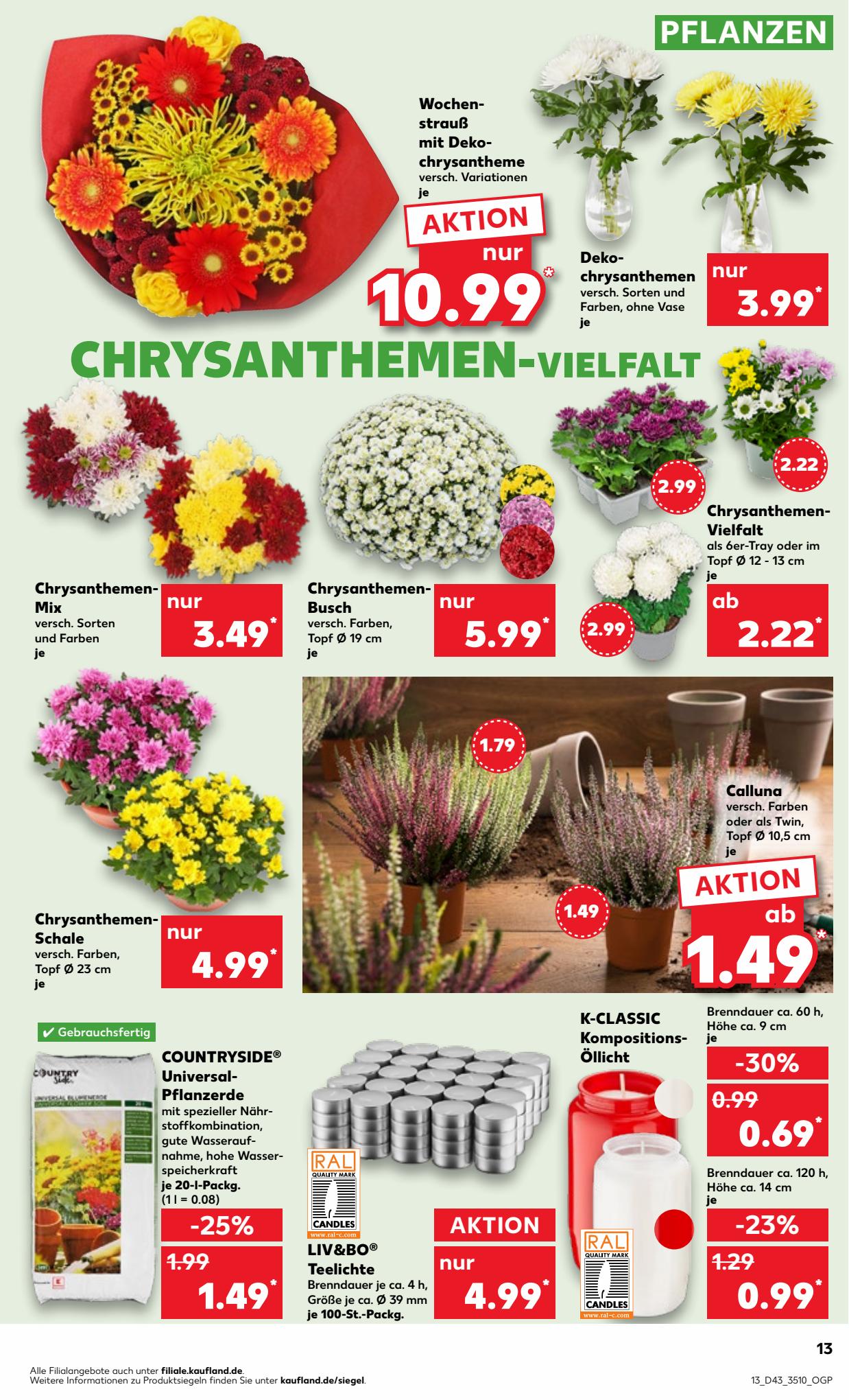 Kaufland Prospekt 22 Oct – 1 Nov 2023 Seite 13