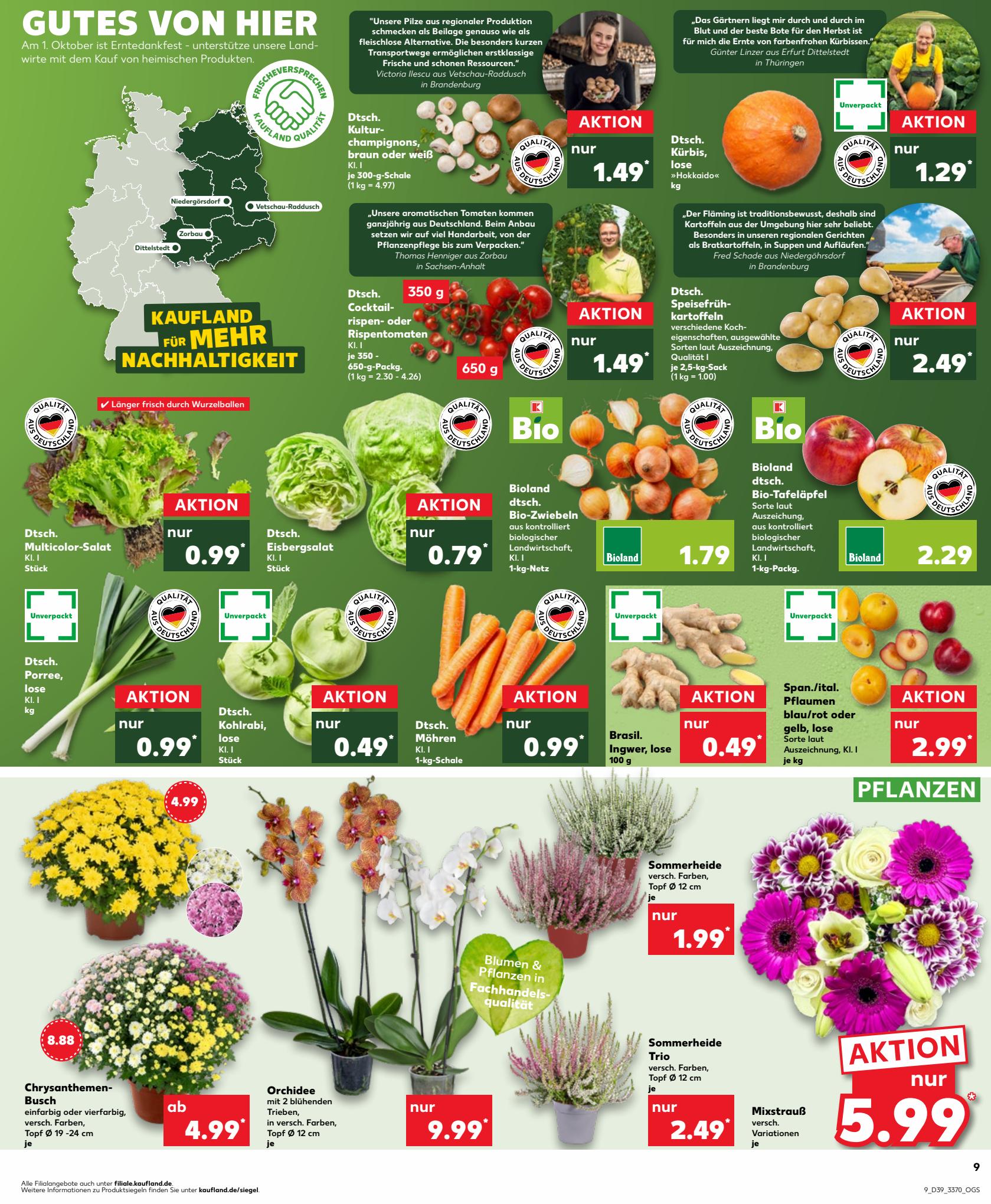Kaufland Prospekt 24 Sep – 4 Oct 2023 Seite 9