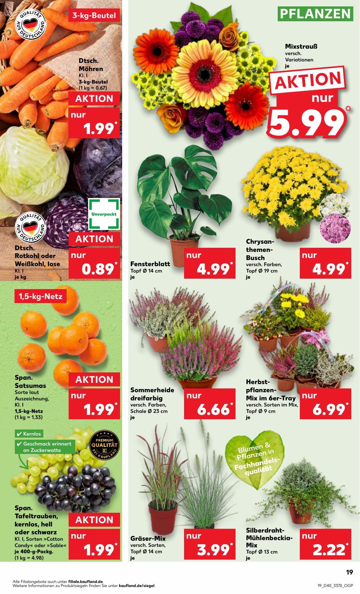 Kaufland Prospekt 5 – 11 October 2023 Seite 19