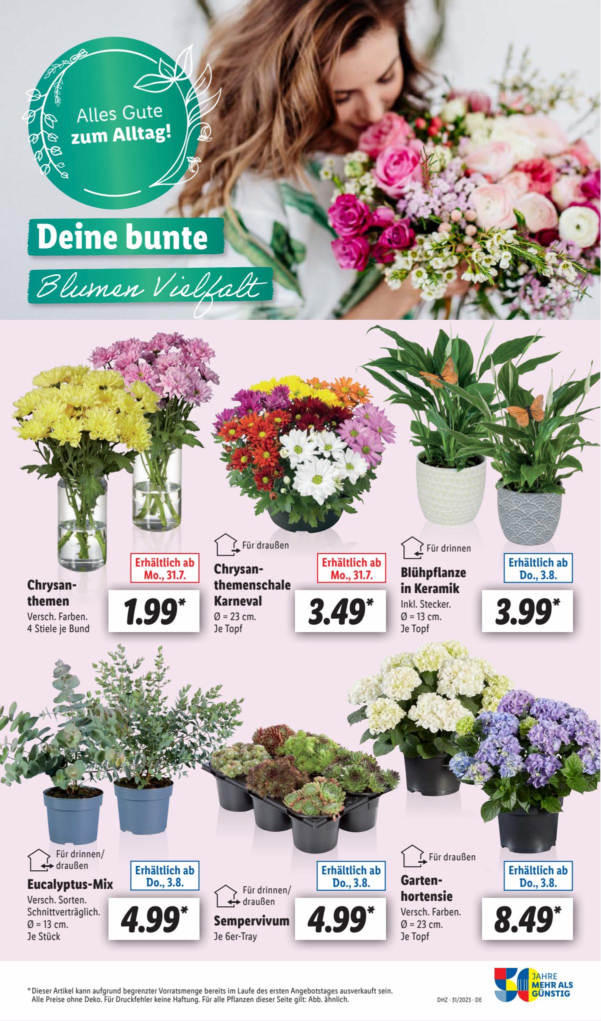 Lidl Prospekt 1 – 5 August 2023 Seite 51