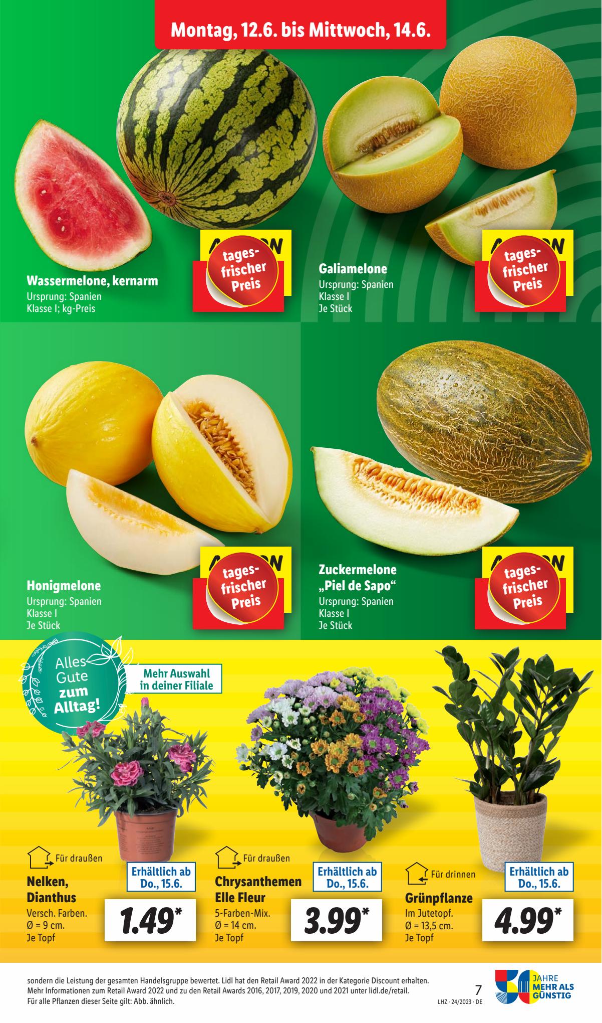 Lidl Prospekt 12 – 17 Juni 2023 Seite 9
