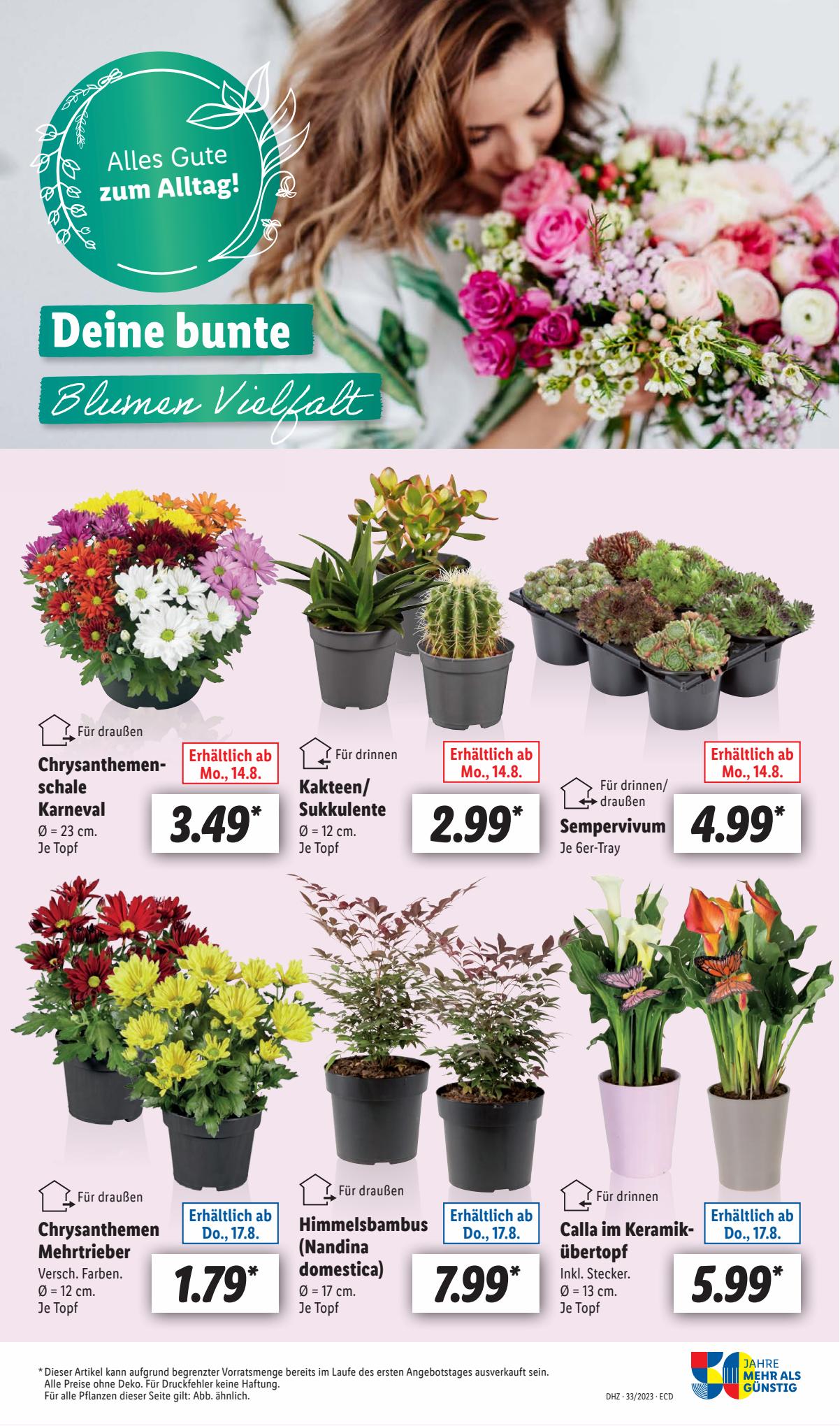 Lidl Prospekt 14 – 19 August 2023 Seite 7