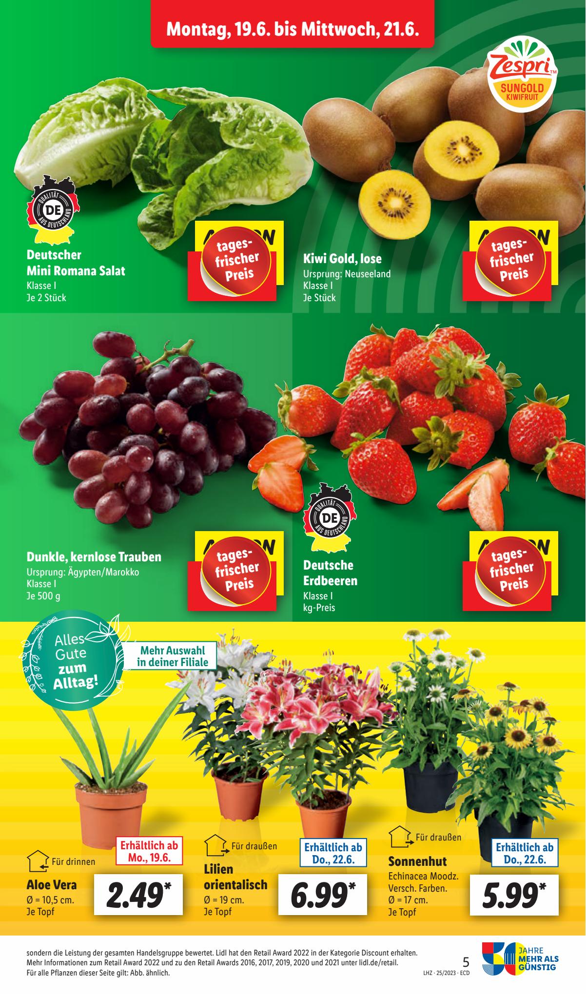 Lidl Prospekt 19 – 24 Juni 2023 Seite 7