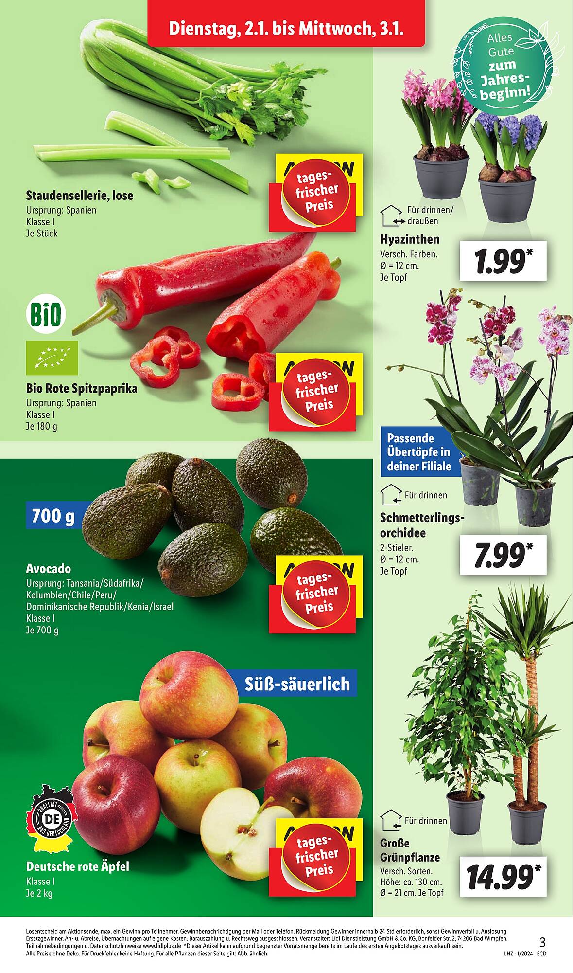 Lidl Prospekt 2 – 6 Januar 2024 Seite 3