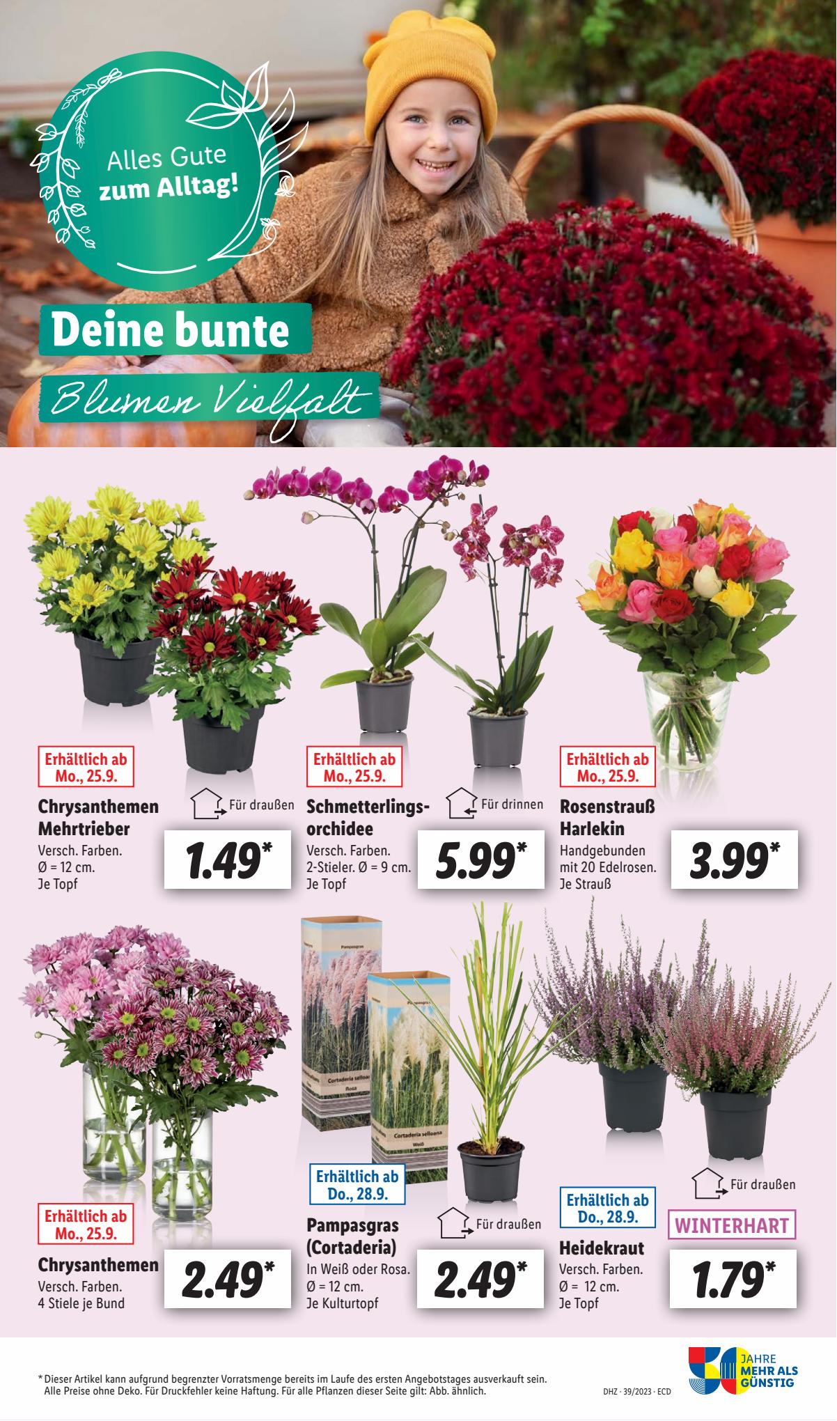 Lidl Prospekt 25 – 30 September 2023 Seite 63