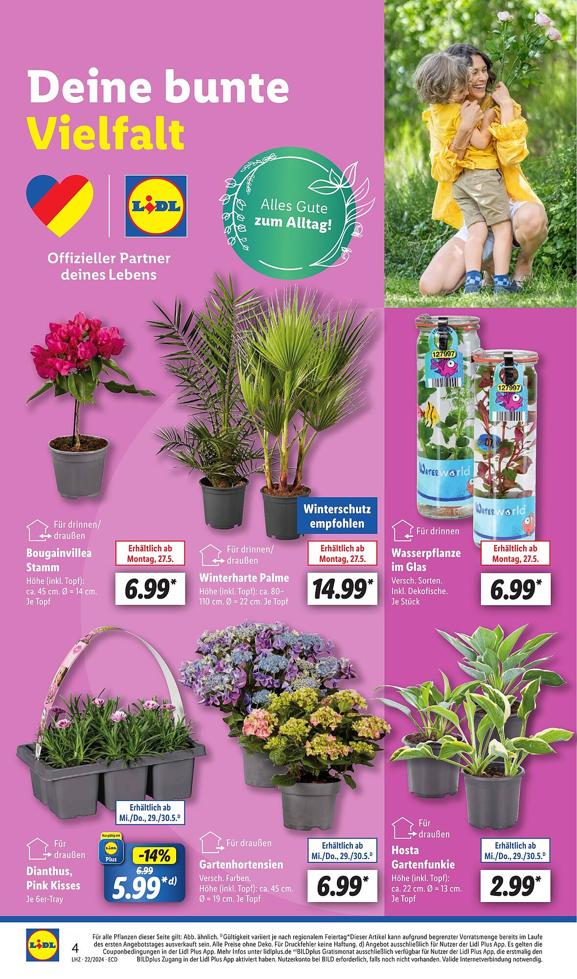 Lidl Prospekt 27 Mai – 1 Juni 2024 Seite 4