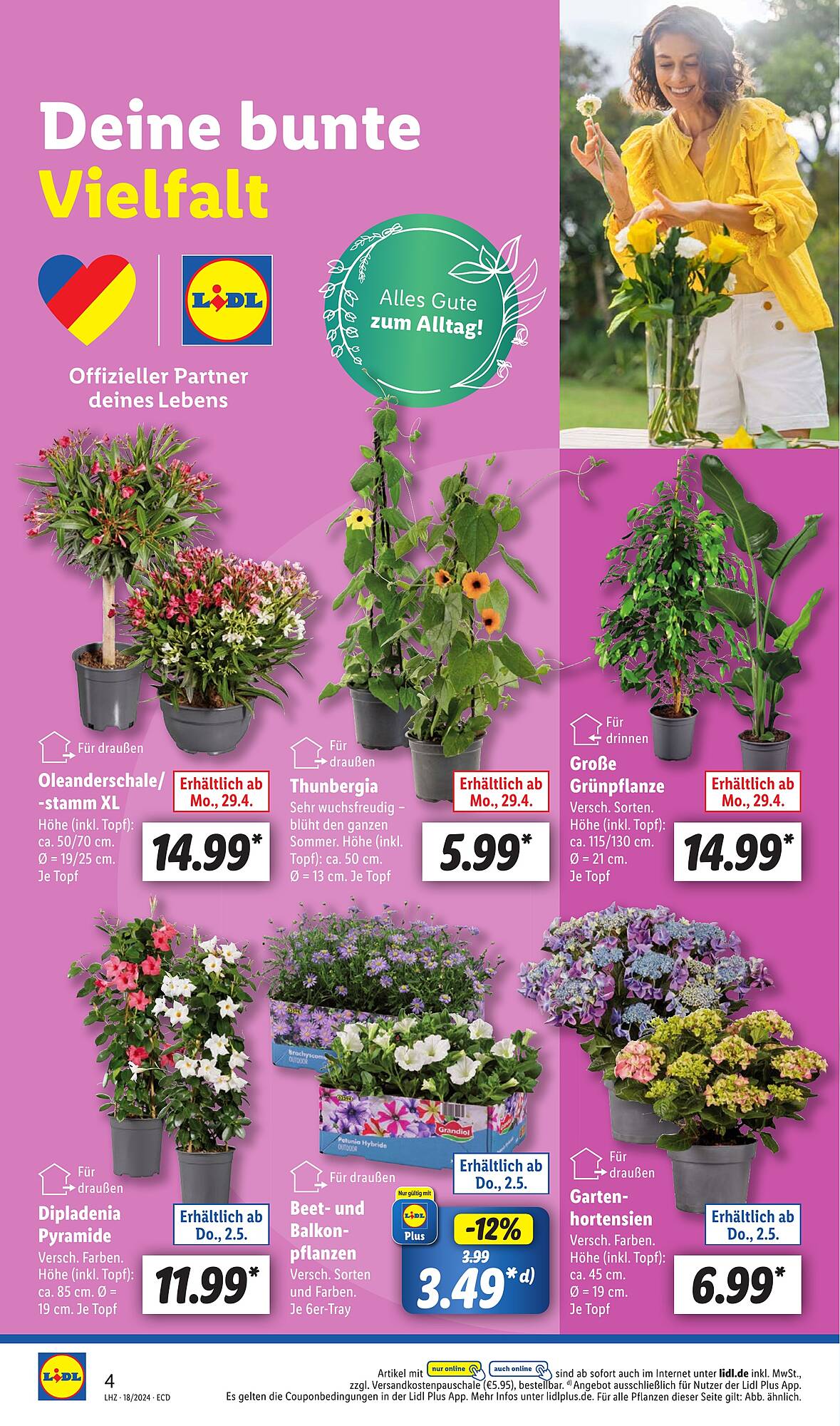 Lidl Prospekt 29 Apr – 4 Mai 2024 Seite 4