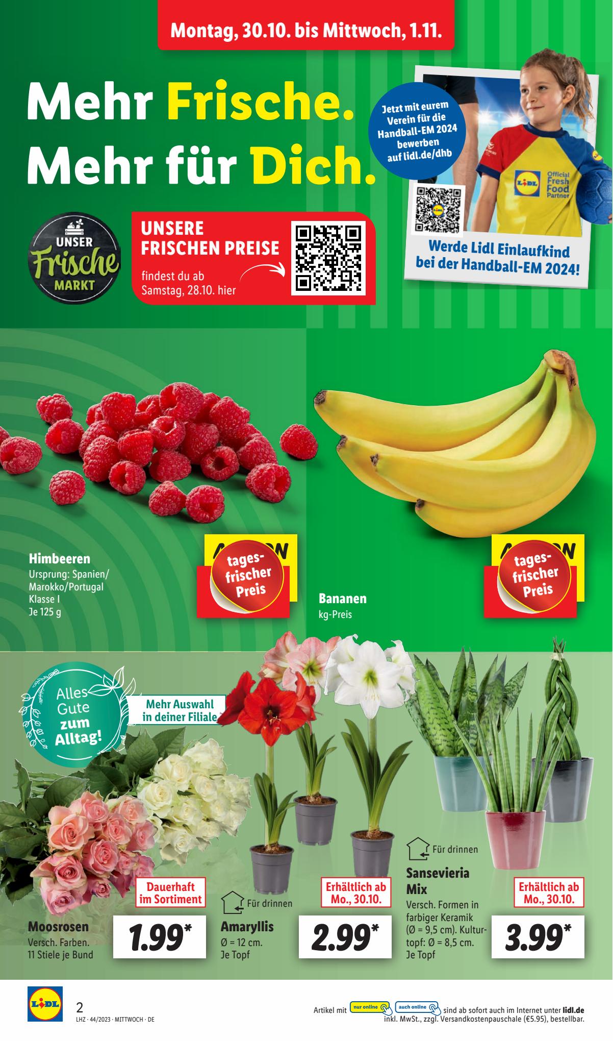 Lidl Prospekt 30 Oct – 4 Nov 2023 Seite 2